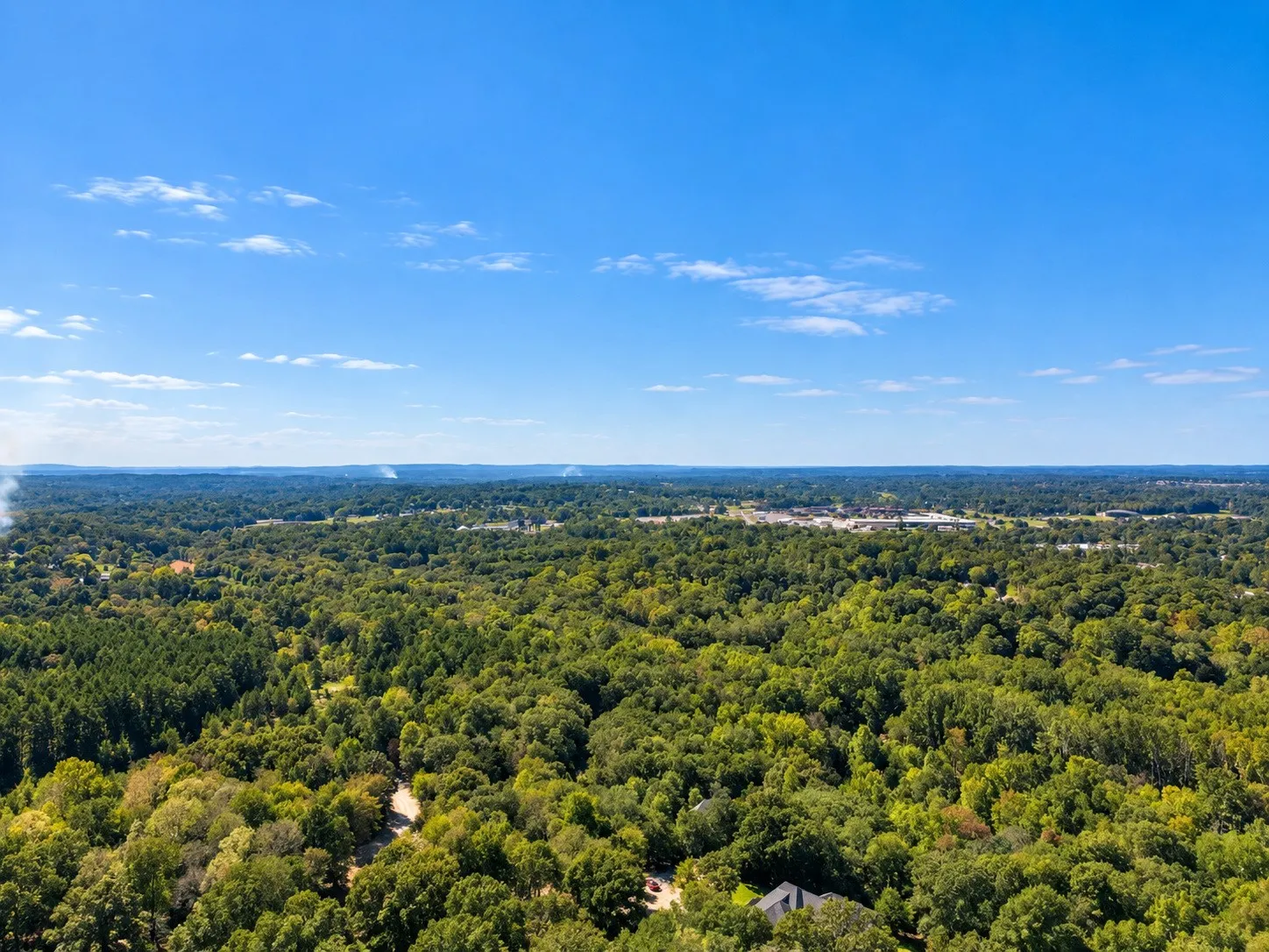 Expansive wooded landscape under a clear blue sky