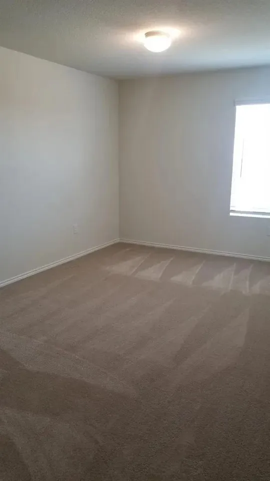 Neutral-toned carpeting, white wall finishes, and a single light fixture