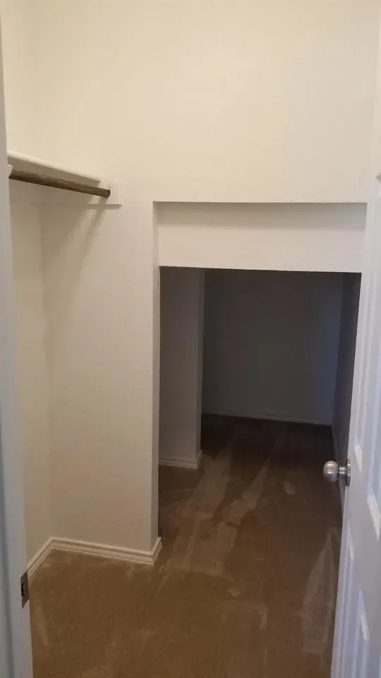 Walk-in closet with carpet flooring and a clothes rod