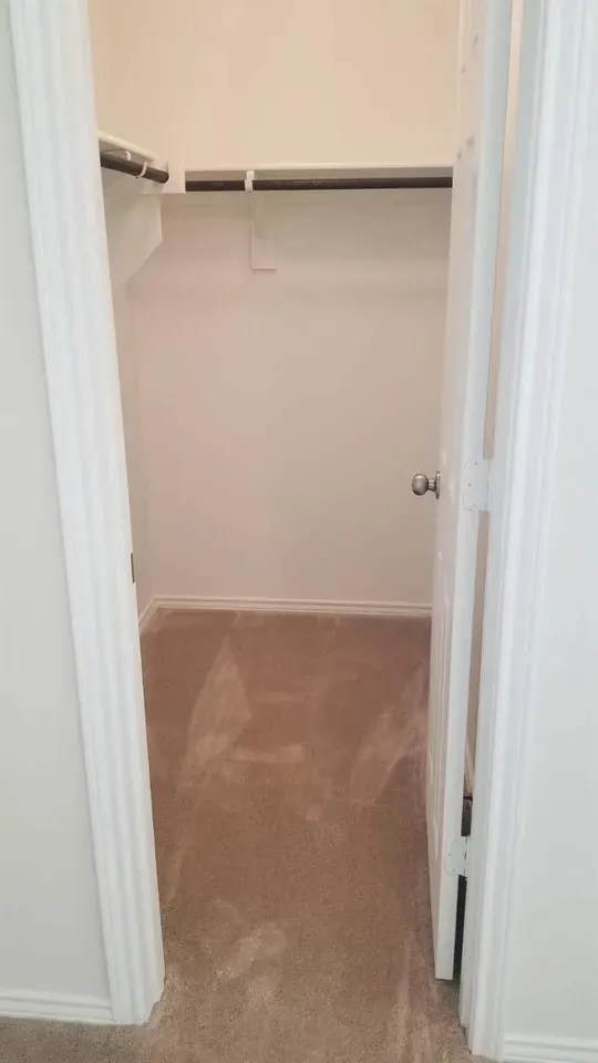 Carpeted closet with built-in shelving and hanging rod