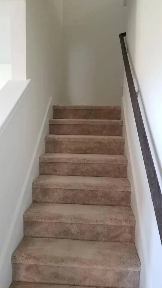 Carpeted staircase with a dark wood-finish handrail and light-toned walls