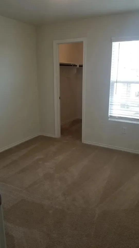 Neutral tone wall paint