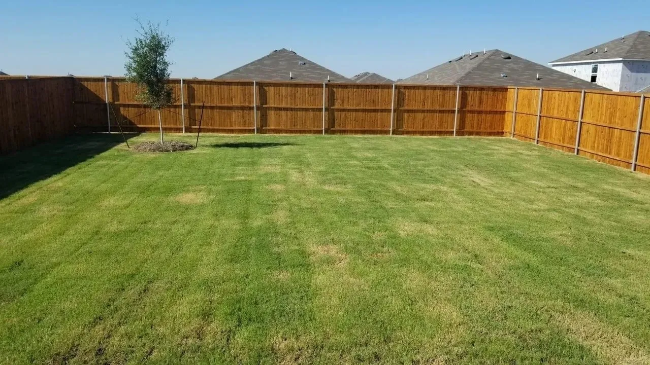 Expansive backyard with a manicured lawn, a newly planted tree, and a full perimeter wood privacy fence