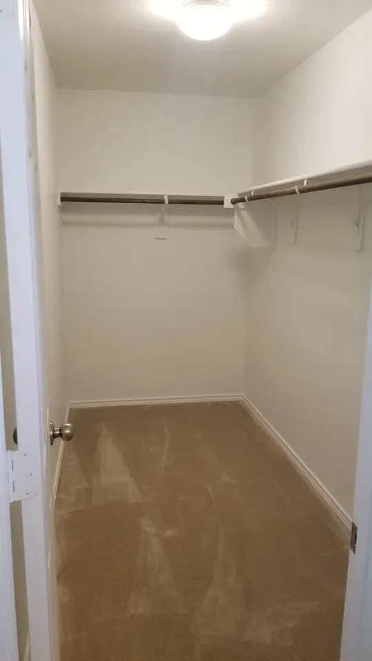 Walk-in closet with carpet flooring, mounted hanging rods, and an overhead flush-mount light fixture