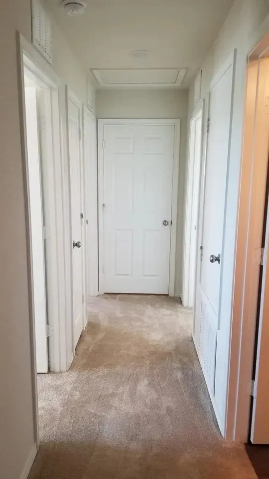 Hallway with neutral tone carpeting and white paneled doors