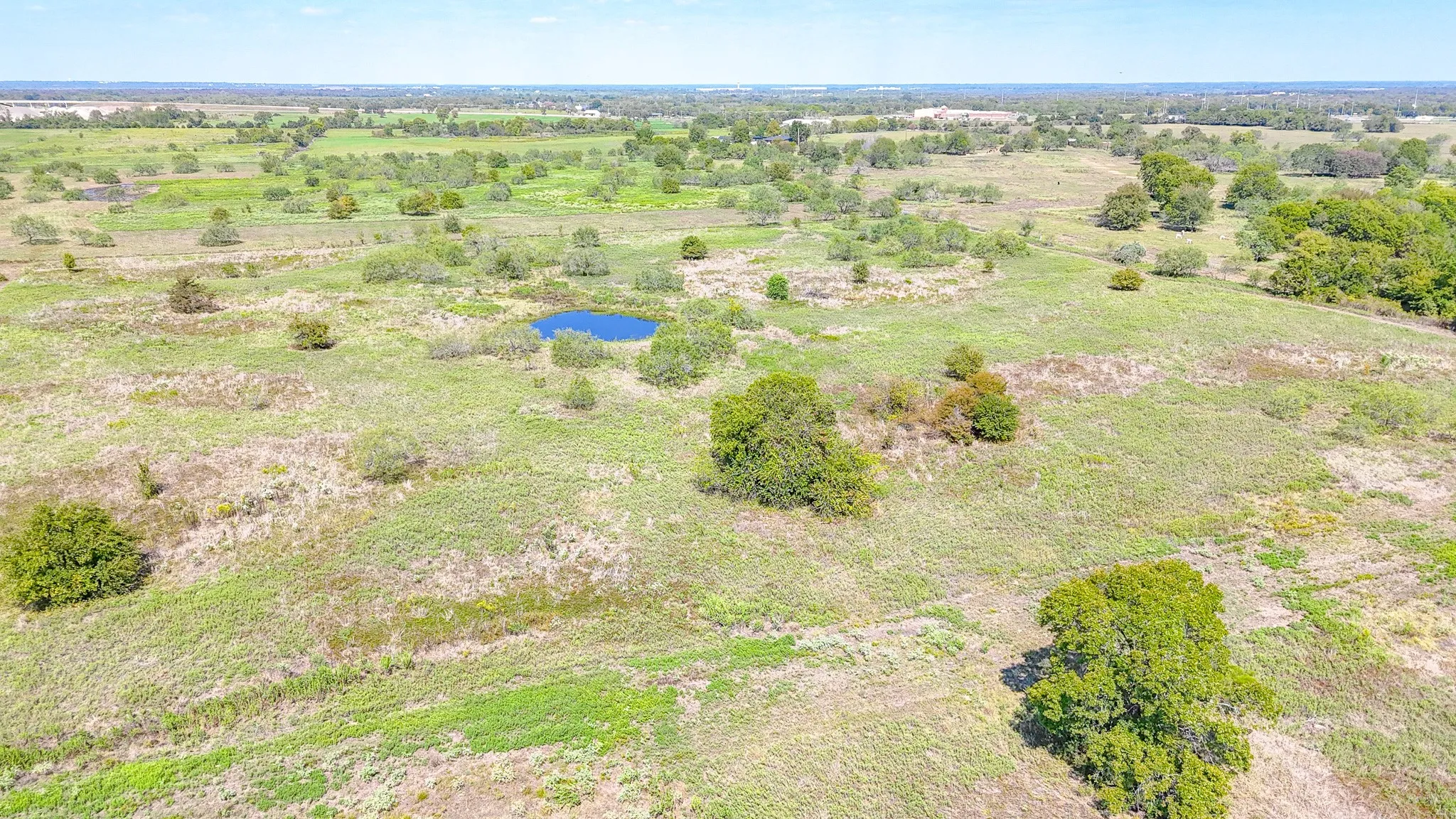 Unimproved Land For Sale in Navarro County , 26.13AC SE County Road 2020, Corsicana, Texas 75109, 0, 0, Garage spaces, 0 Sqft, built in 0, mls#21410058, Real Estate Agent in Corsicana, Homes For Sale in Navarro county, Homes For Sale in Corsicana, Realtor in Corsicana Texas, Real Estate Brokerage Independent Realty Texas, Luminita Cordes Realtor