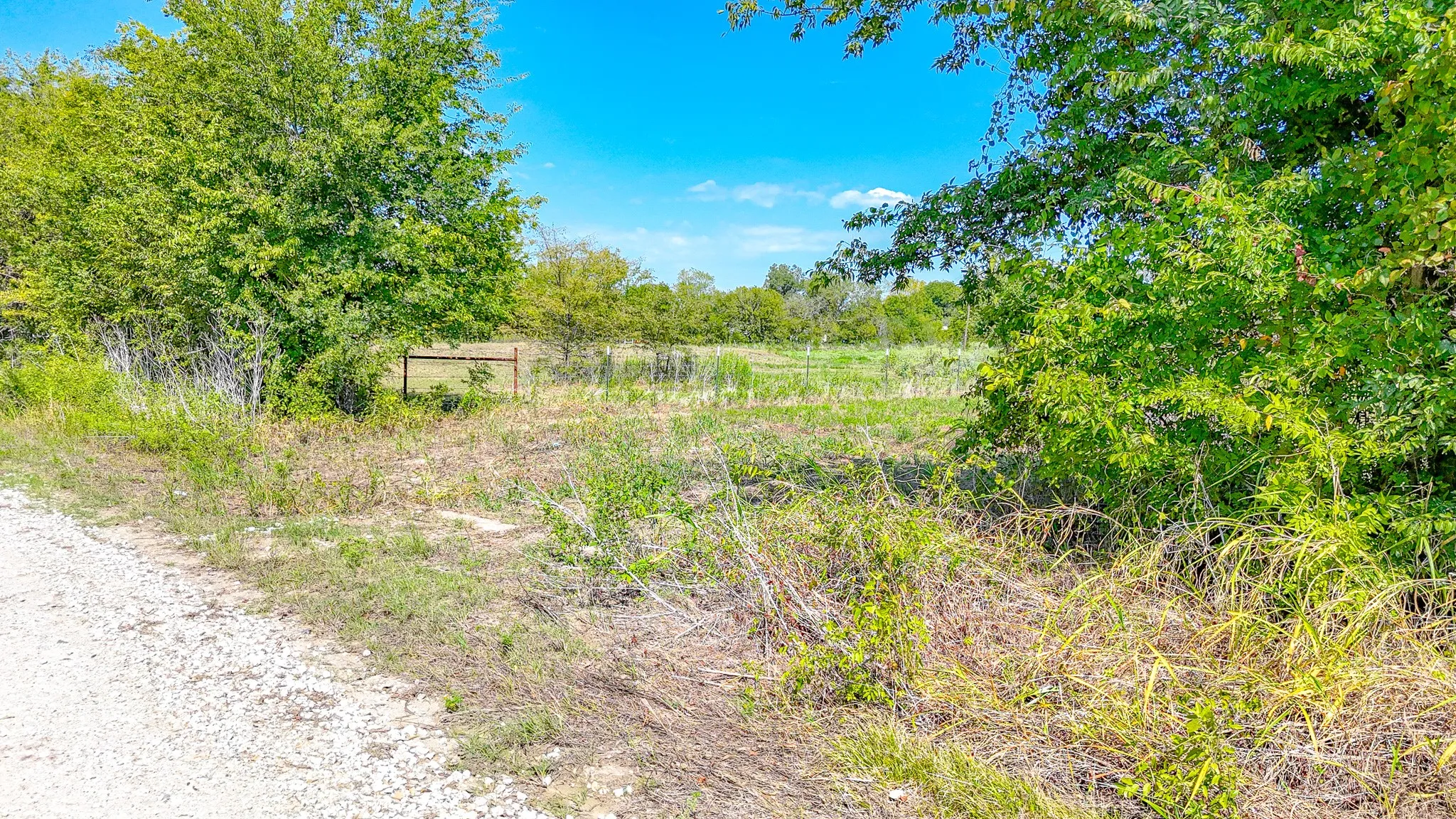 Unimproved Land For Sale in Navarro County , 26.13AC SE County Road 2020, Corsicana, Texas 75109, 0, 0, Garage spaces, 0 Sqft, built in 0, mls#21410058, Real Estate Agent in Corsicana, Homes For Sale in Navarro county, Homes For Sale in Corsicana, Realtor in Corsicana Texas, Real Estate Brokerage Independent Realty Texas, Luminita Cordes Realtor