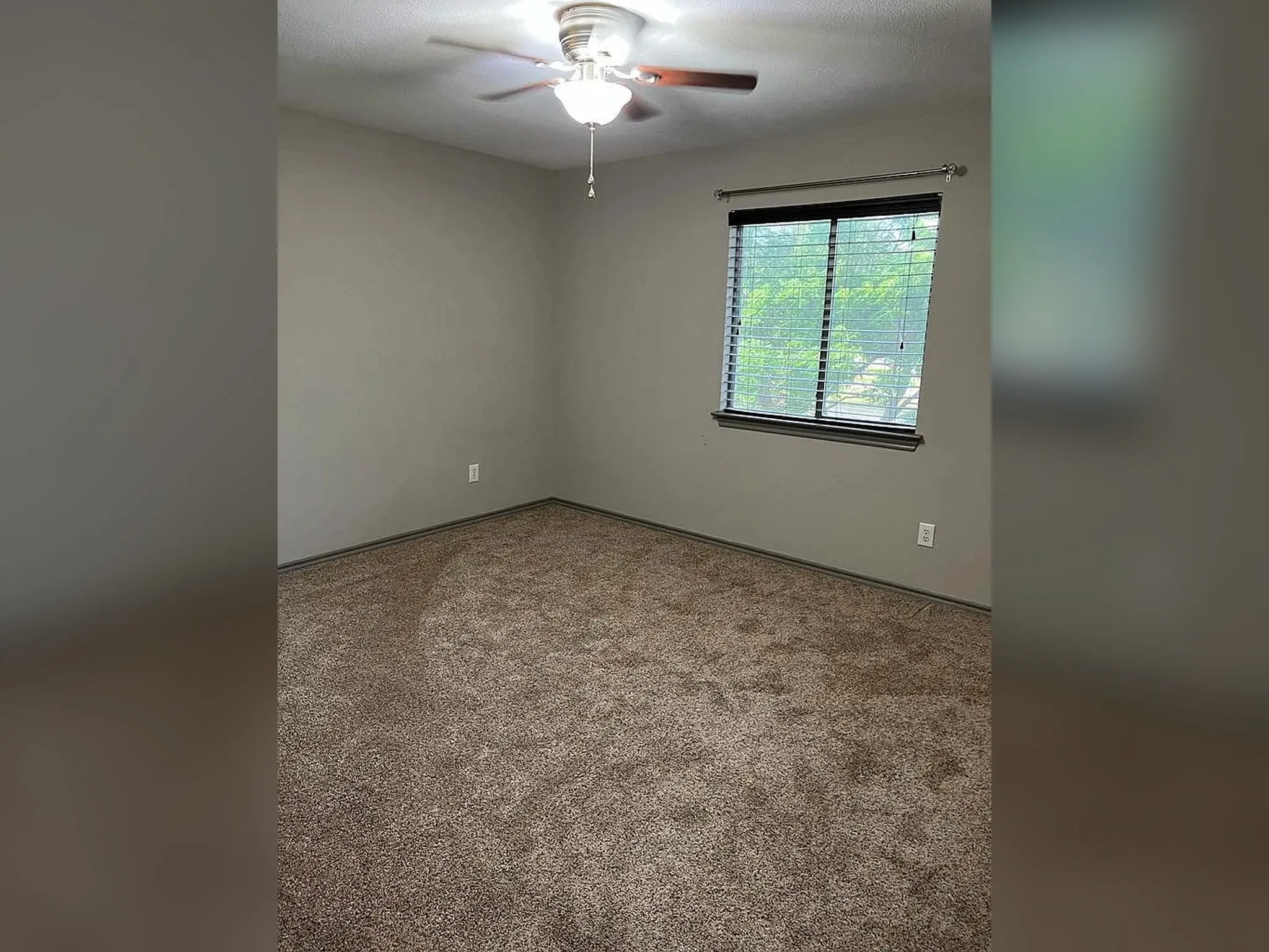 Neutral wall paint, textured carpeting, window with blinds, ceiling fan with integrated lighting, and trim molding