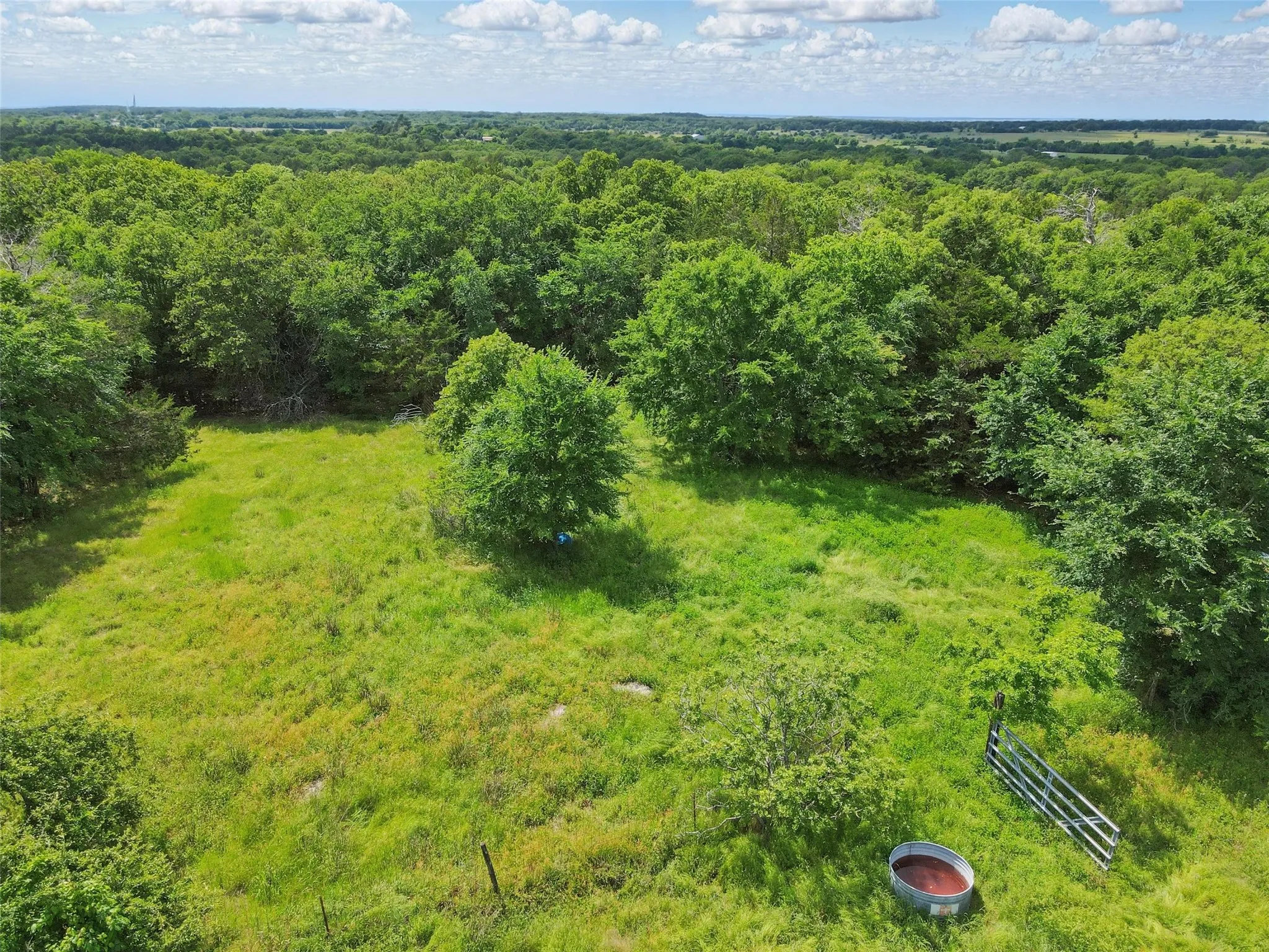 Expansive green space featuring scattered trees, a metal gate, and a trough