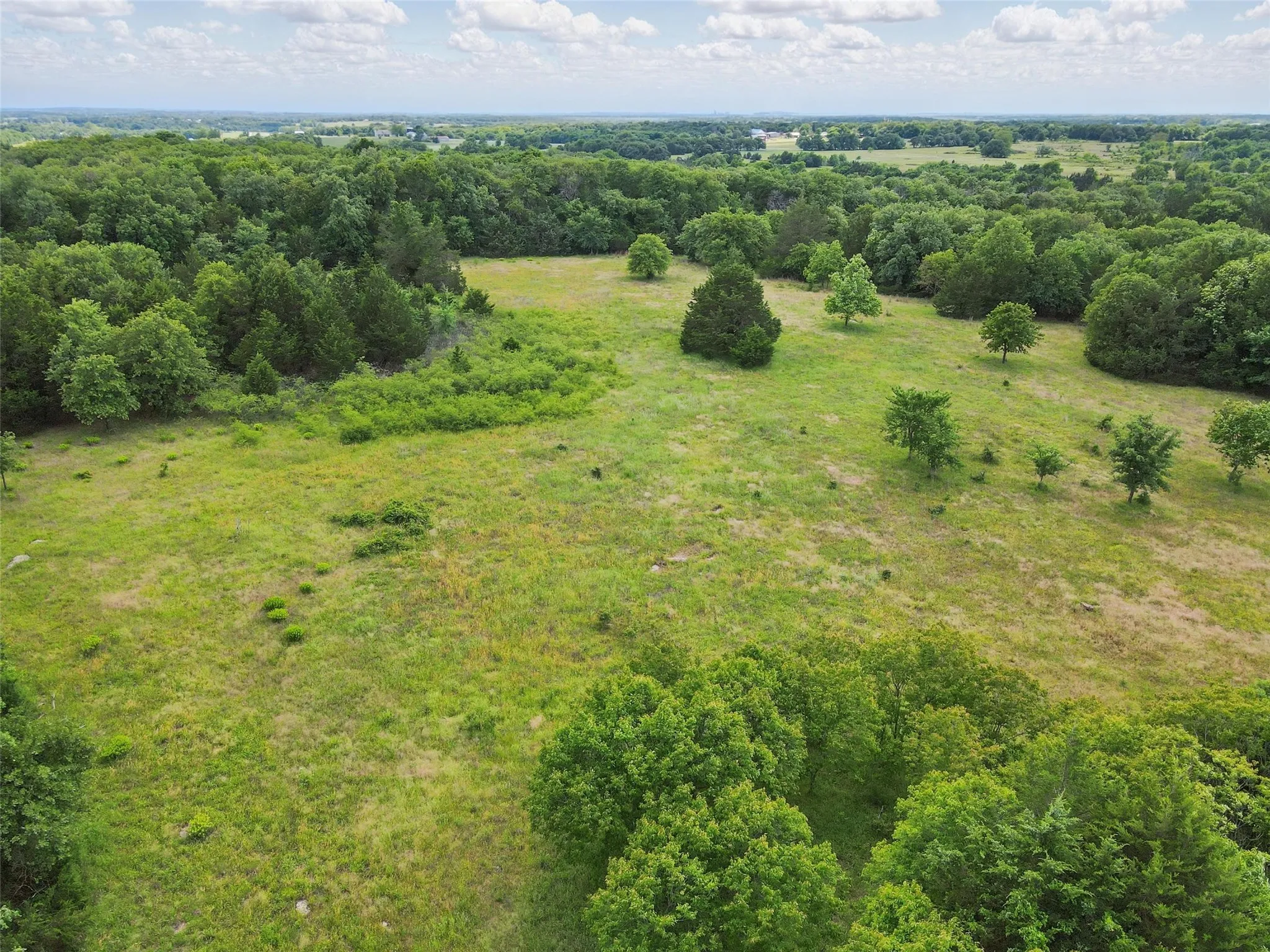 Expansive property featuring a combination of open fields and dense tree lines