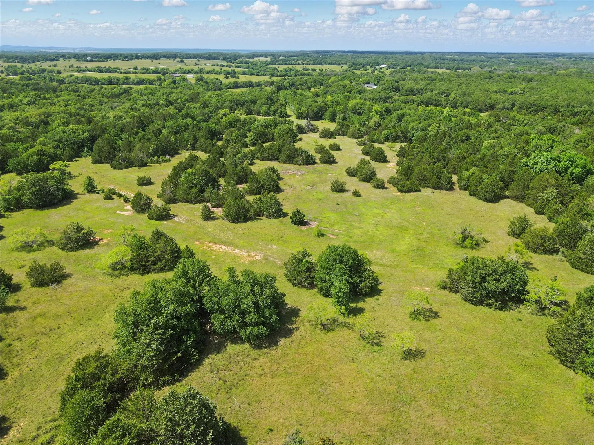 Expansive green landscape featuring varied tree coverage and open grassy areas