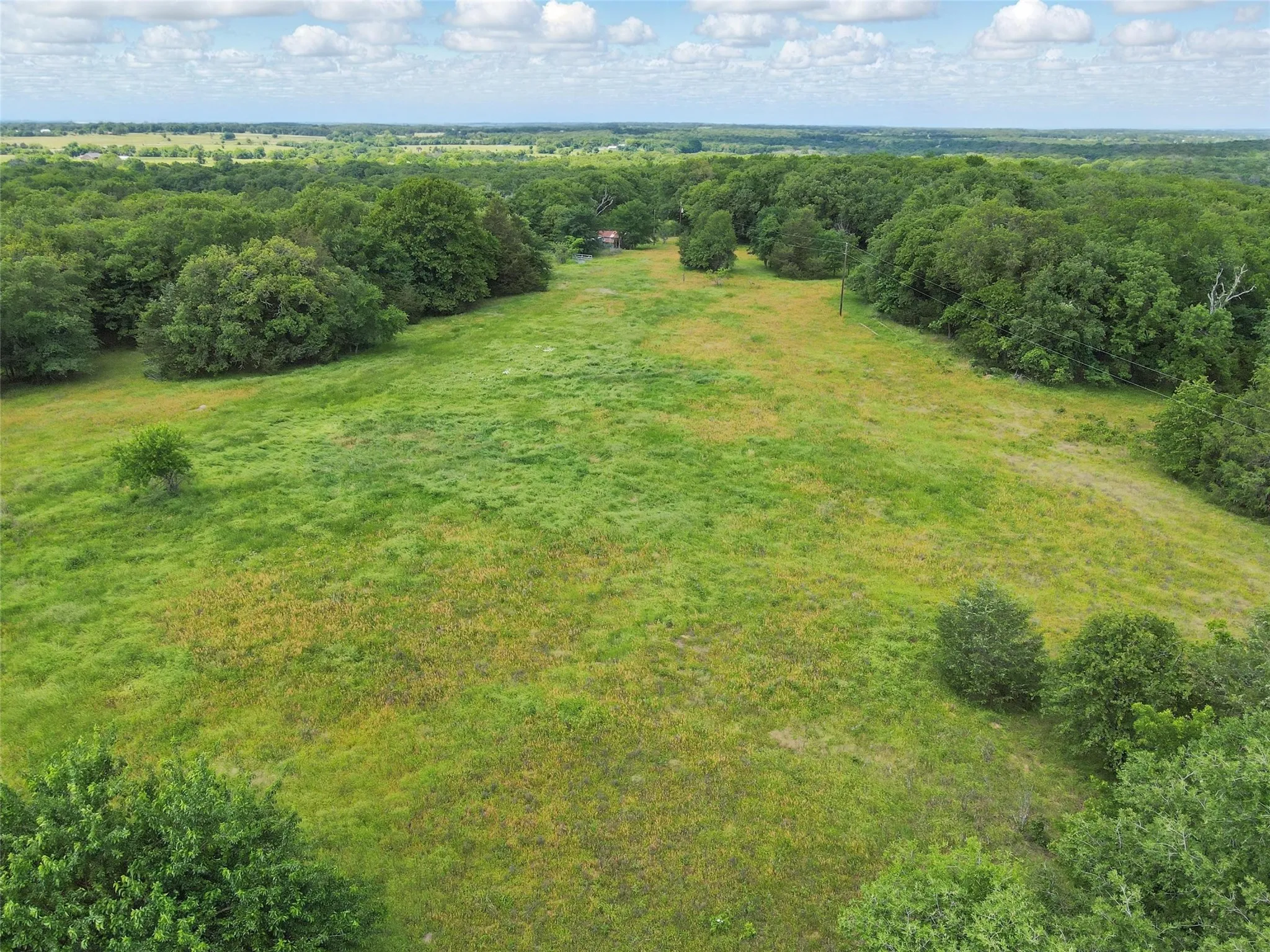 Expansive open field with scattered trees and a distant structure