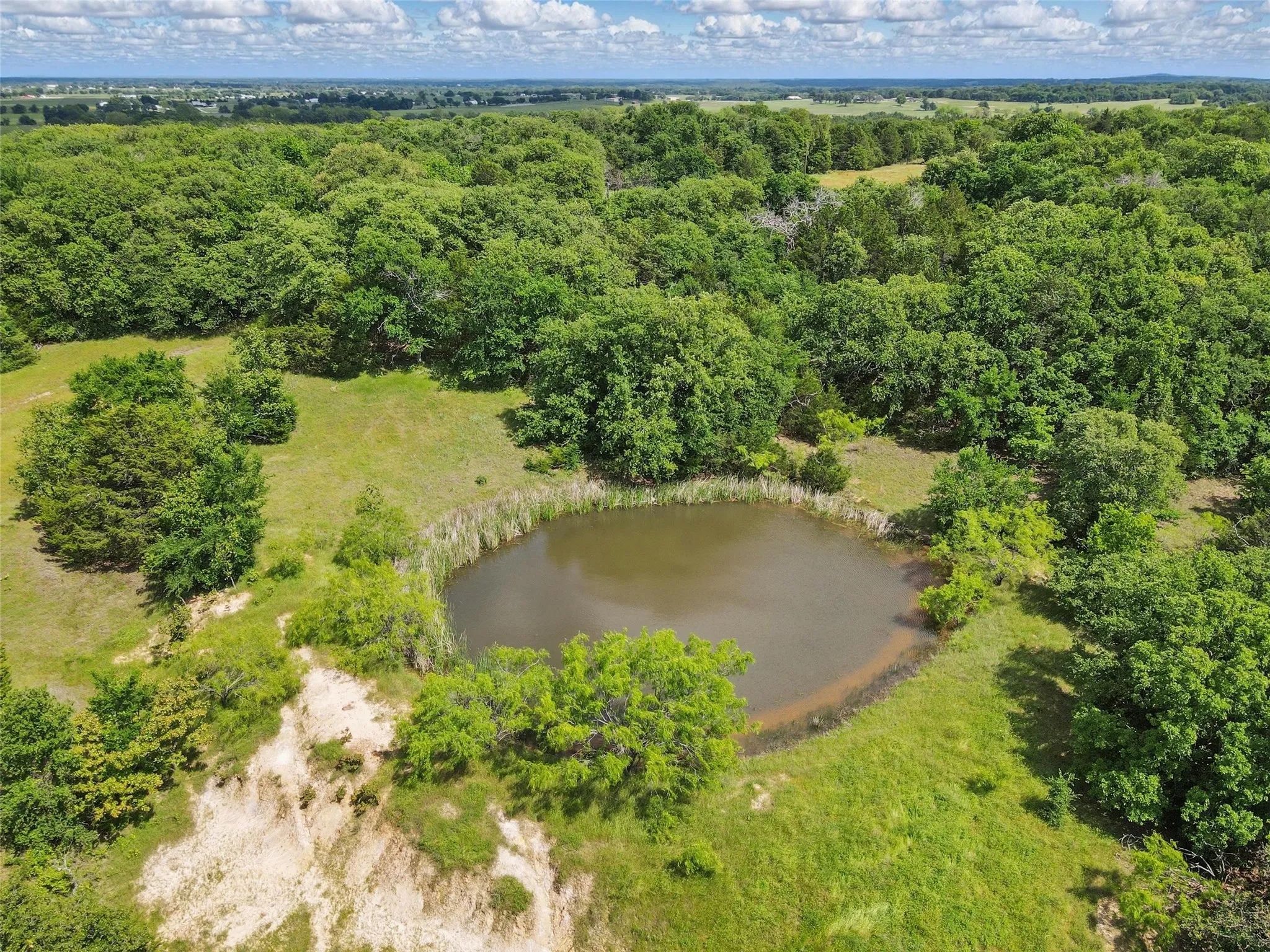 Natural pond surrounded by mature trees and lush greenery
