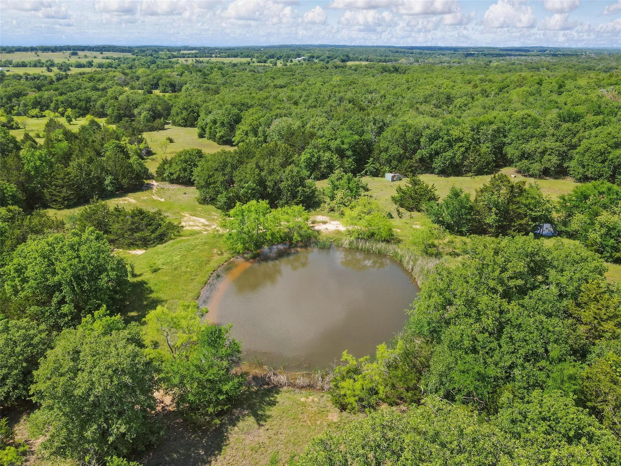 Natural pond feature surrounded by established trees and cleared grassy areas