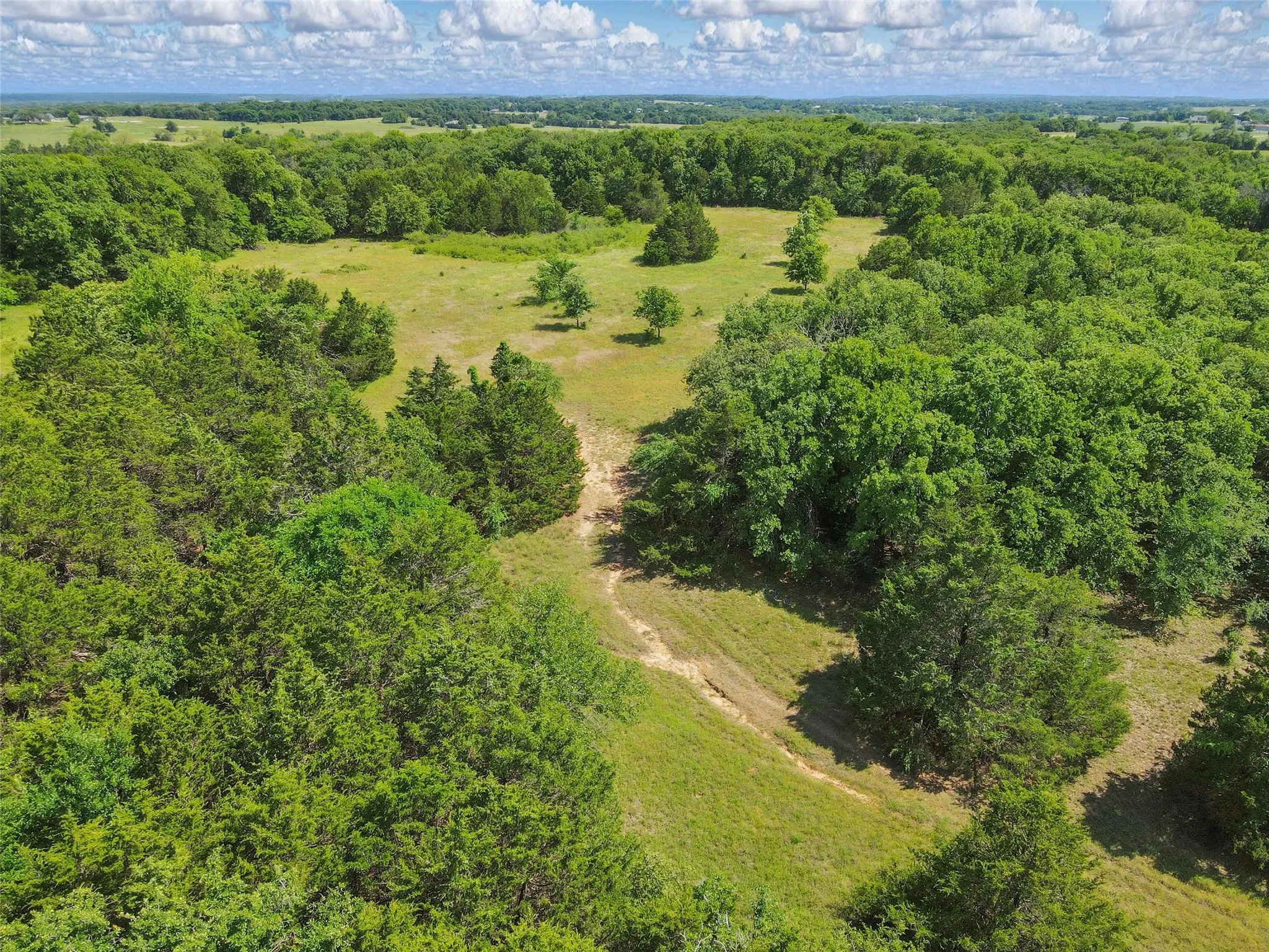 Expansive natural landscape featuring lush green foliage and scattered trees under a blue sky with clouds