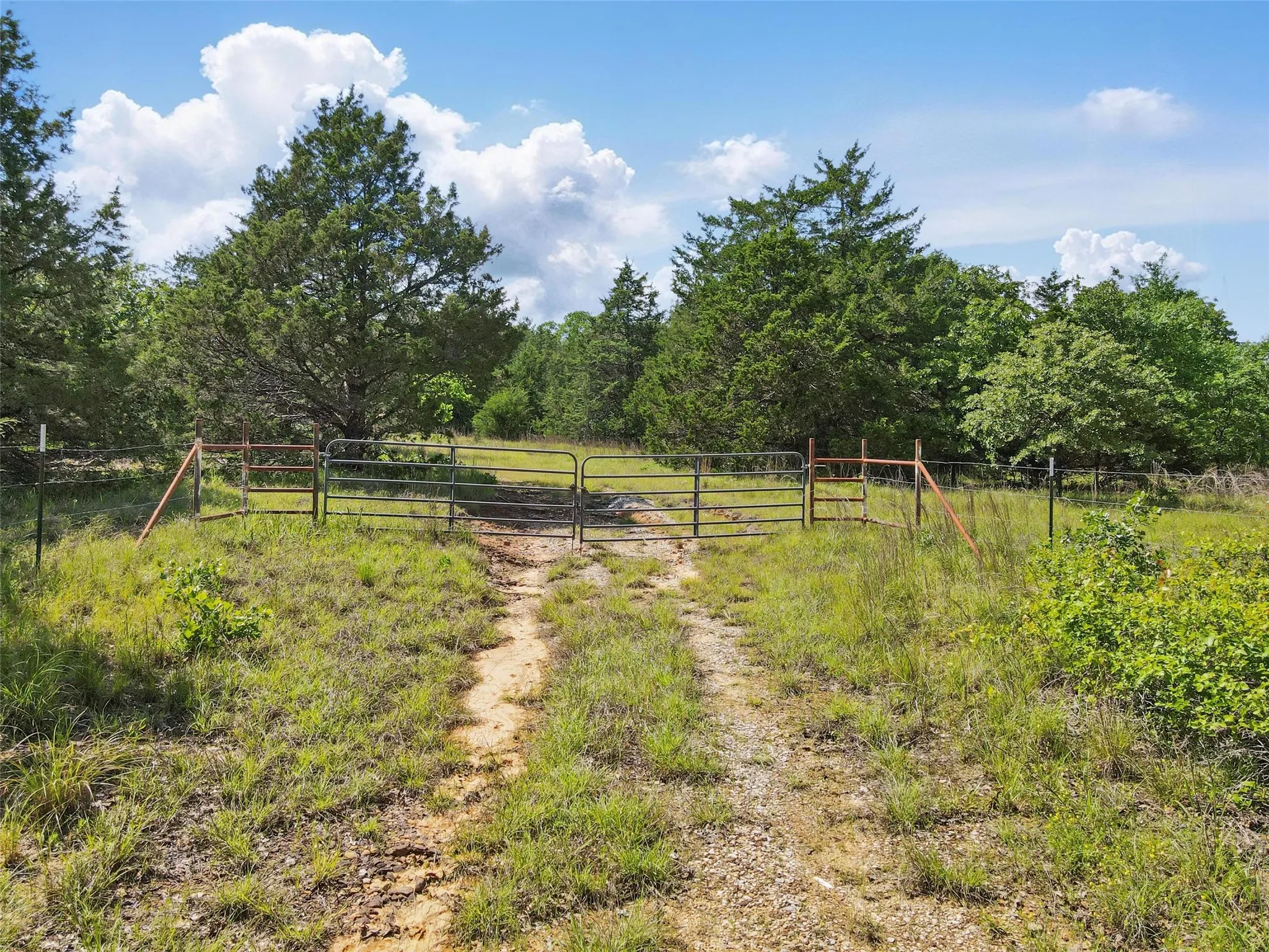 Gated entrance to property, featuring a wire fence and mature trees
