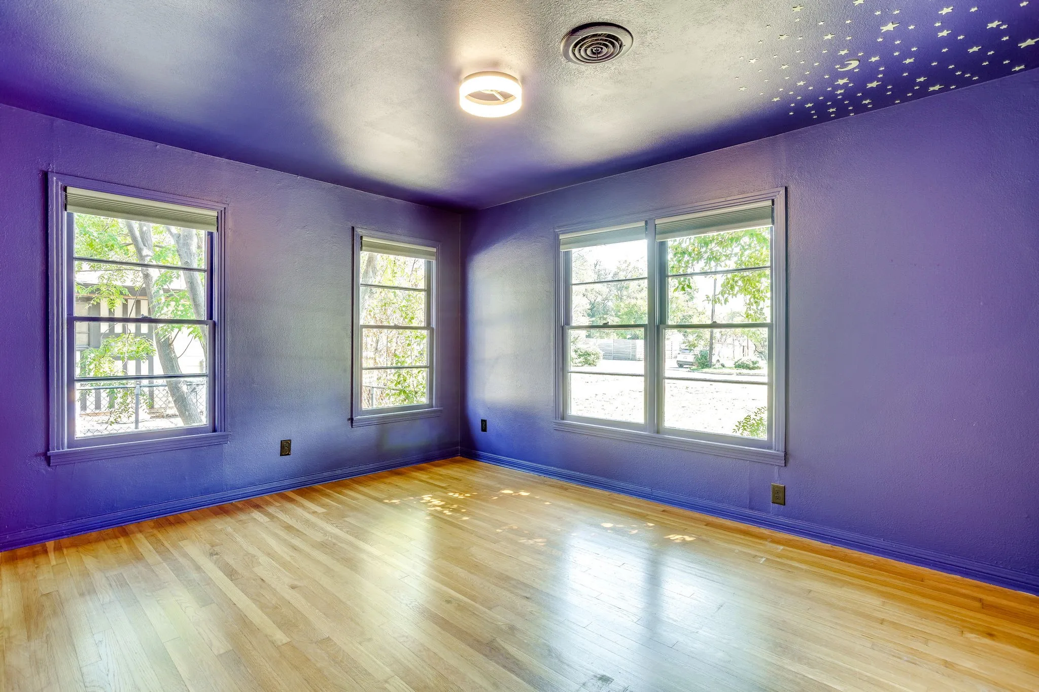 Hardwood flooring, painted walls, multiple windows, ceiling light fixture, and ceiling detail