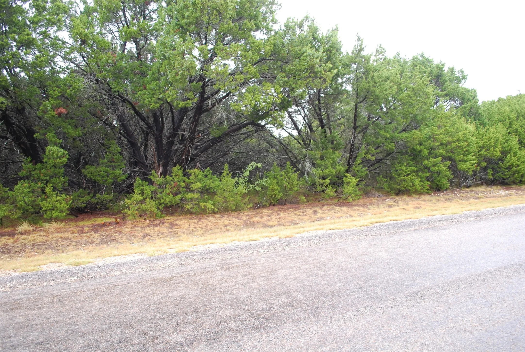 Unimproved Land For Sale in Hill County , 1700 Highland Drive, Whitney, Texas 76692, 0, 0, Garage spaces, 0 Sqft, built in 0, mls#21402643, Real Estate Agent in Whitney, Homes For Sale in Hill county, Homes For Sale in Whitney, Realtor in Whitney Texas, Real Estate Brokerage Independent Realty Texas, Luminita Cordes Realtor