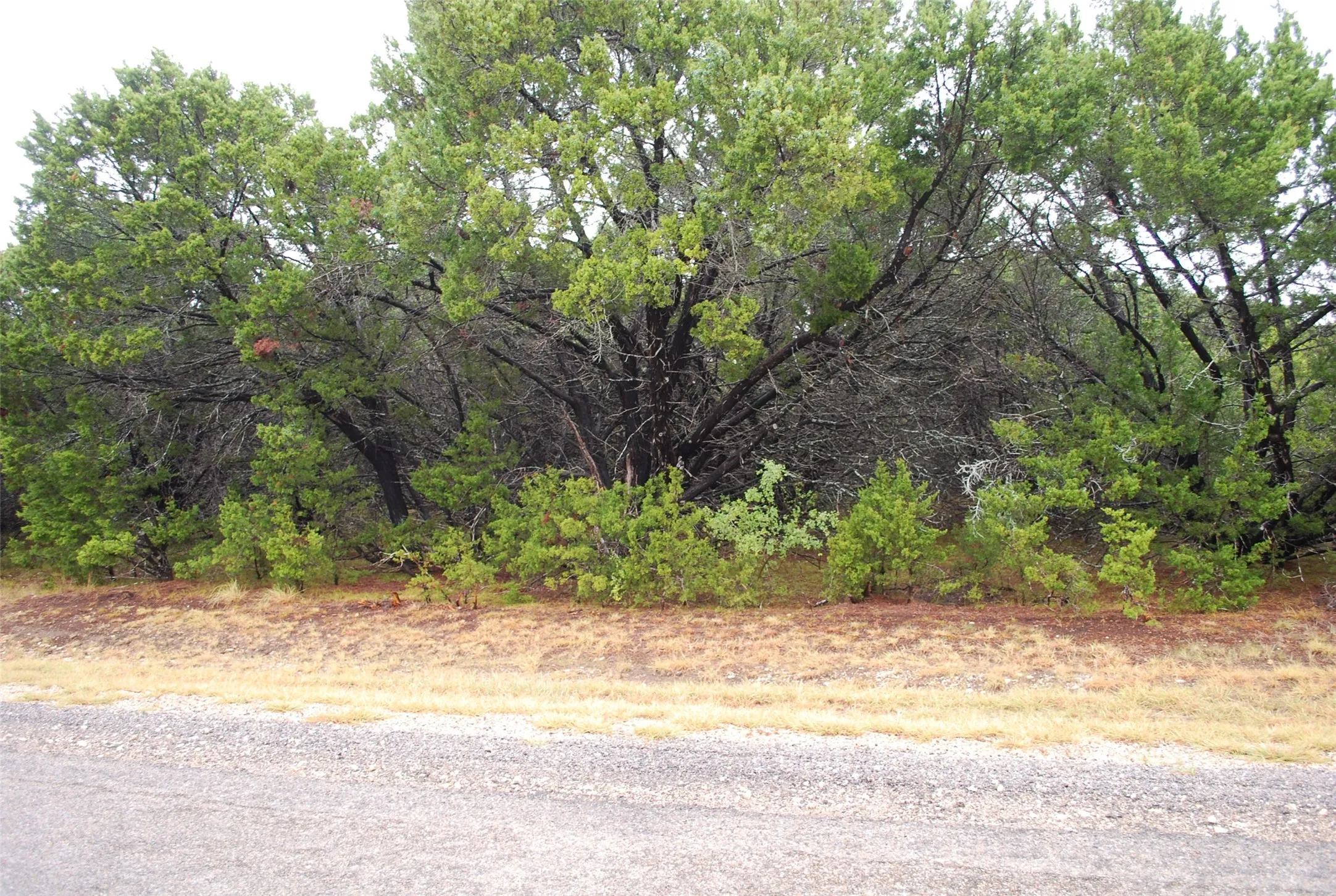 Unimproved Land For Sale in Hill County , 1700 Highland Drive, Whitney, Texas 76692, 0, 0, Garage spaces, 0 Sqft, built in 0, mls#21402643, Real Estate Agent in Whitney, Homes For Sale in Hill county, Homes For Sale in Whitney, Realtor in Whitney Texas, Real Estate Brokerage Independent Realty Texas, Luminita Cordes Realtor
