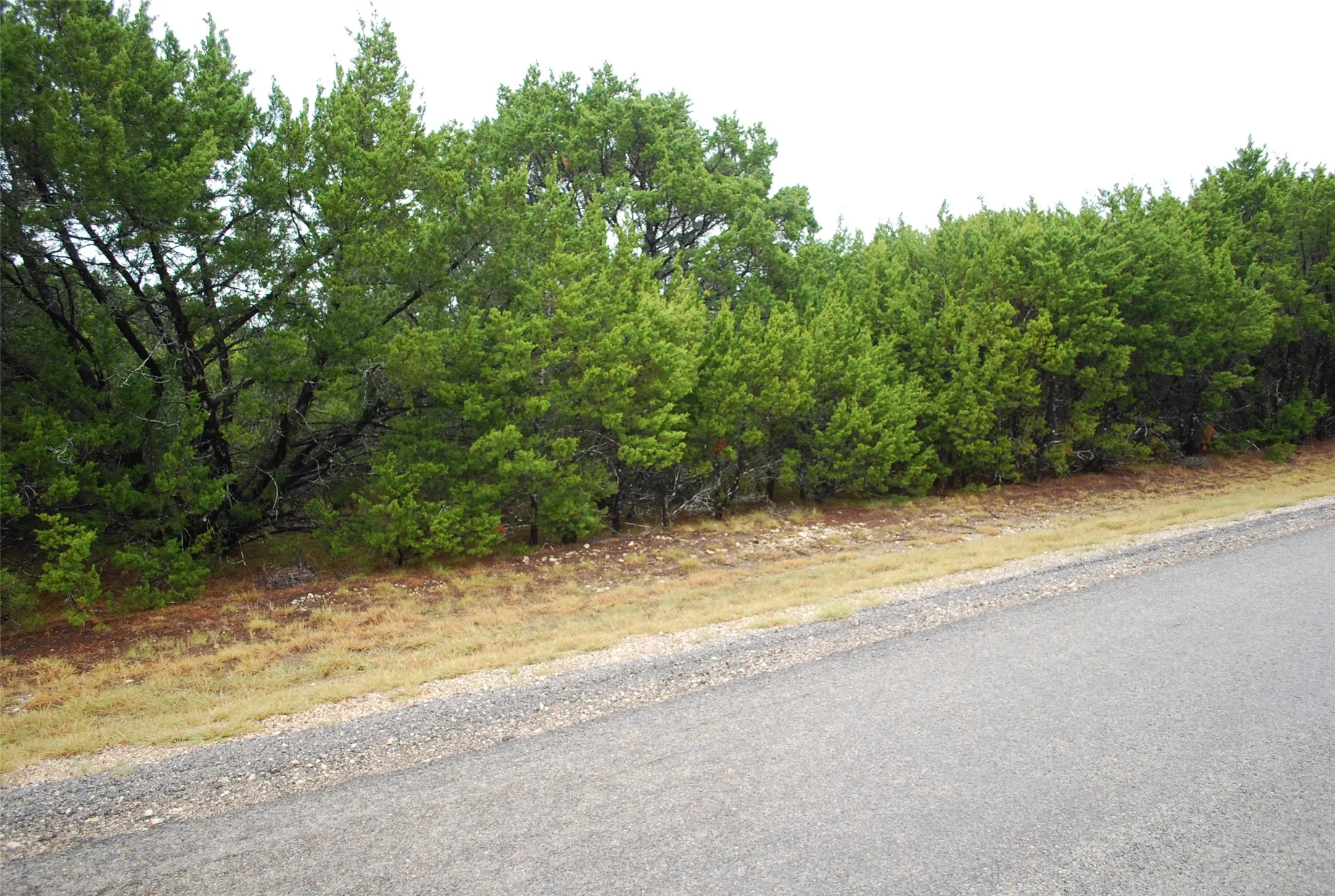 Unimproved Land For Sale in Hill County , 1700 Highland Drive, Whitney, Texas 76692, 0, 0, Garage spaces, 0 Sqft, built in 0, mls#21402643, Real Estate Agent in Whitney, Homes For Sale in Hill county, Homes For Sale in Whitney, Realtor in Whitney Texas, Real Estate Brokerage Independent Realty Texas, Luminita Cordes Realtor