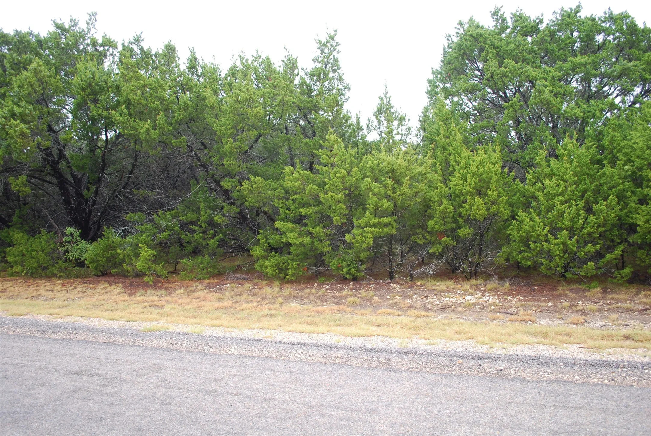 Unimproved Land For Sale in Hill County , 1700 Highland Drive, Whitney, Texas 76692, 0, 0, Garage spaces, 0 Sqft, built in 0, mls#21402643, Real Estate Agent in Whitney, Homes For Sale in Hill county, Homes For Sale in Whitney, Realtor in Whitney Texas, Real Estate Brokerage Independent Realty Texas, Luminita Cordes Realtor
