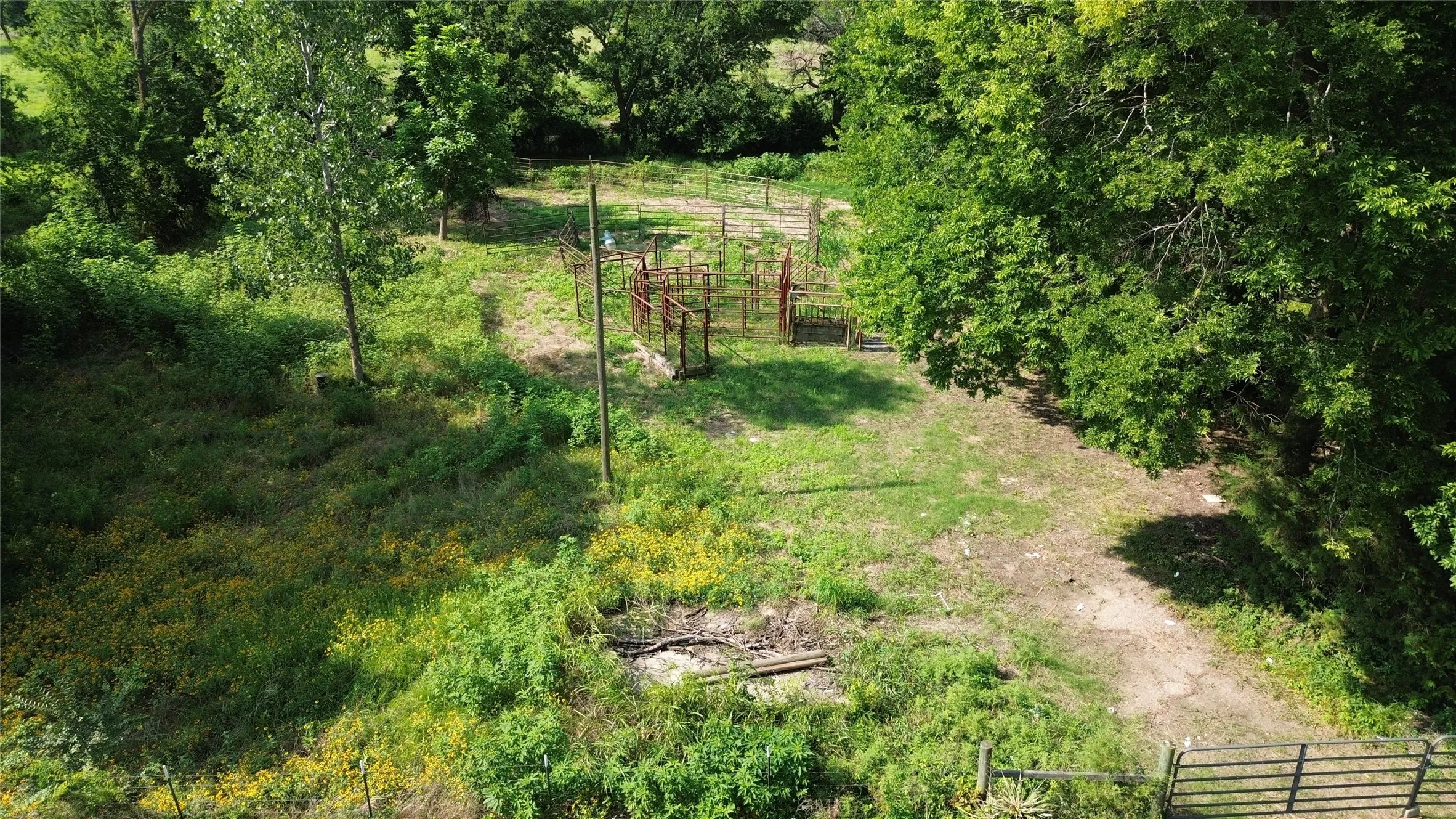 Unimproved Land For Sale in Delta County , 4757 FM 1528, Klondike, Texas 75448, 0, 0, Garage spaces, 0 Sqft, built in 0, mls#21409330, Real Estate Agent in Klondike, Homes For Sale in Delta county, Homes For Sale in Klondike, Realtor in Klondike Texas, Real Estate Brokerage Independent Realty Texas, Luminita Cordes Realtor