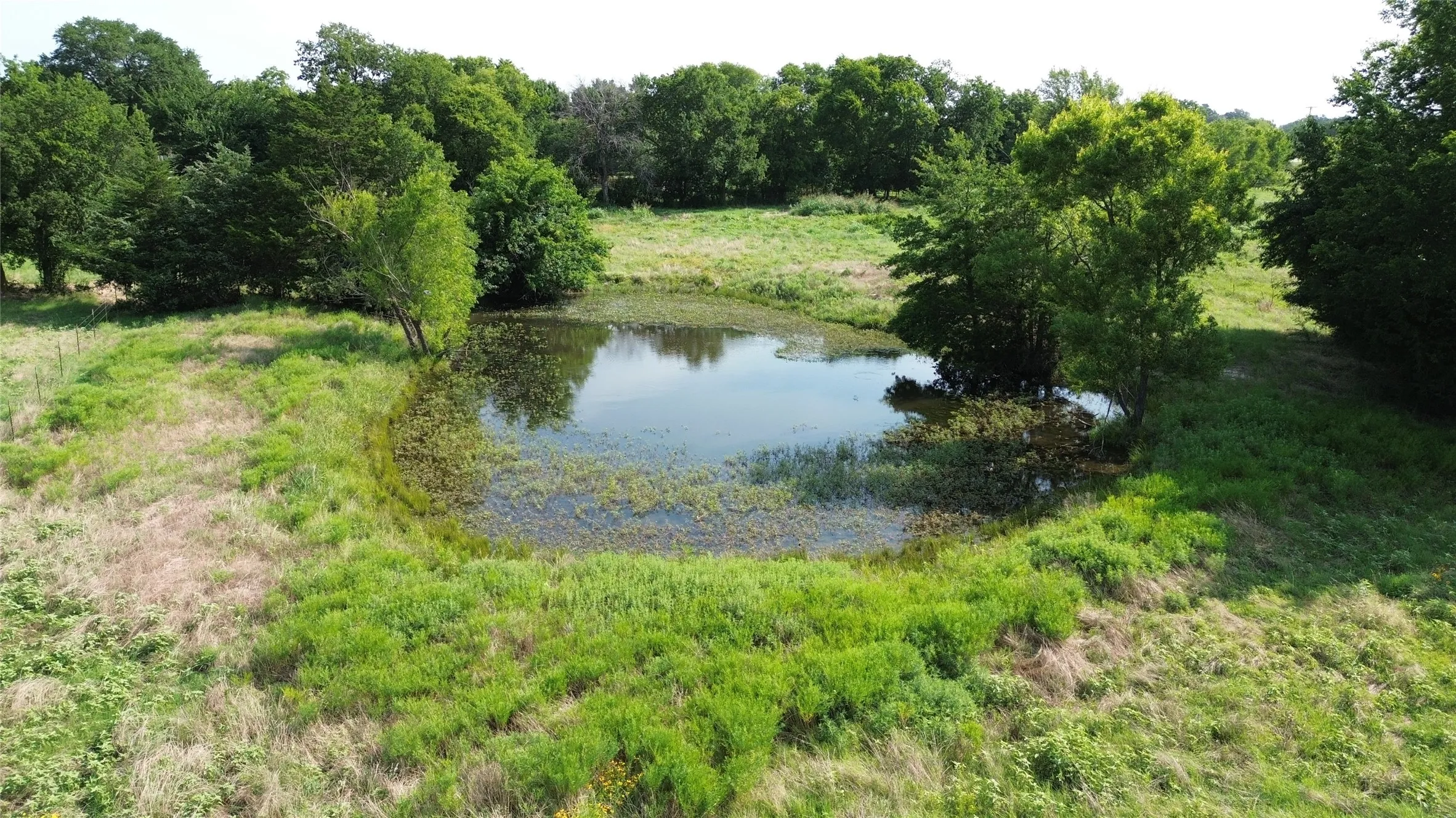 Unimproved Land For Sale in Delta County , 4757 FM 1528, Klondike, Texas 75448, 0, 0, Garage spaces, 0 Sqft, built in 0, mls#21409330, Real Estate Agent in Klondike, Homes For Sale in Delta county, Homes For Sale in Klondike, Realtor in Klondike Texas, Real Estate Brokerage Independent Realty Texas, Luminita Cordes Realtor