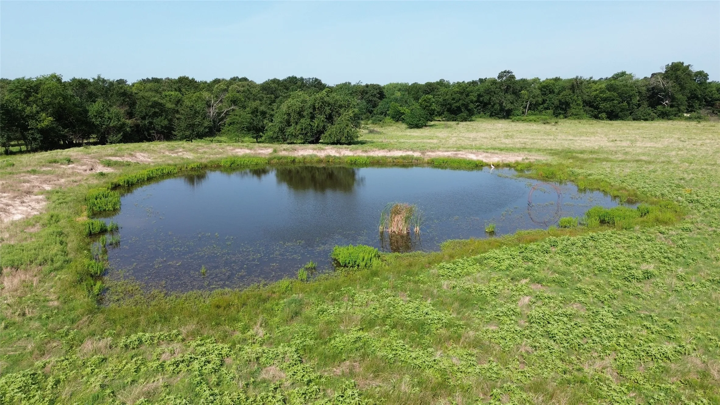 Unimproved Land For Sale in Delta County , 4757 FM 1528, Klondike, Texas 75448, 0, 0, Garage spaces, 0 Sqft, built in 0, mls#21409330, Real Estate Agent in Klondike, Homes For Sale in Delta county, Homes For Sale in Klondike, Realtor in Klondike Texas, Real Estate Brokerage Independent Realty Texas, Luminita Cordes Realtor