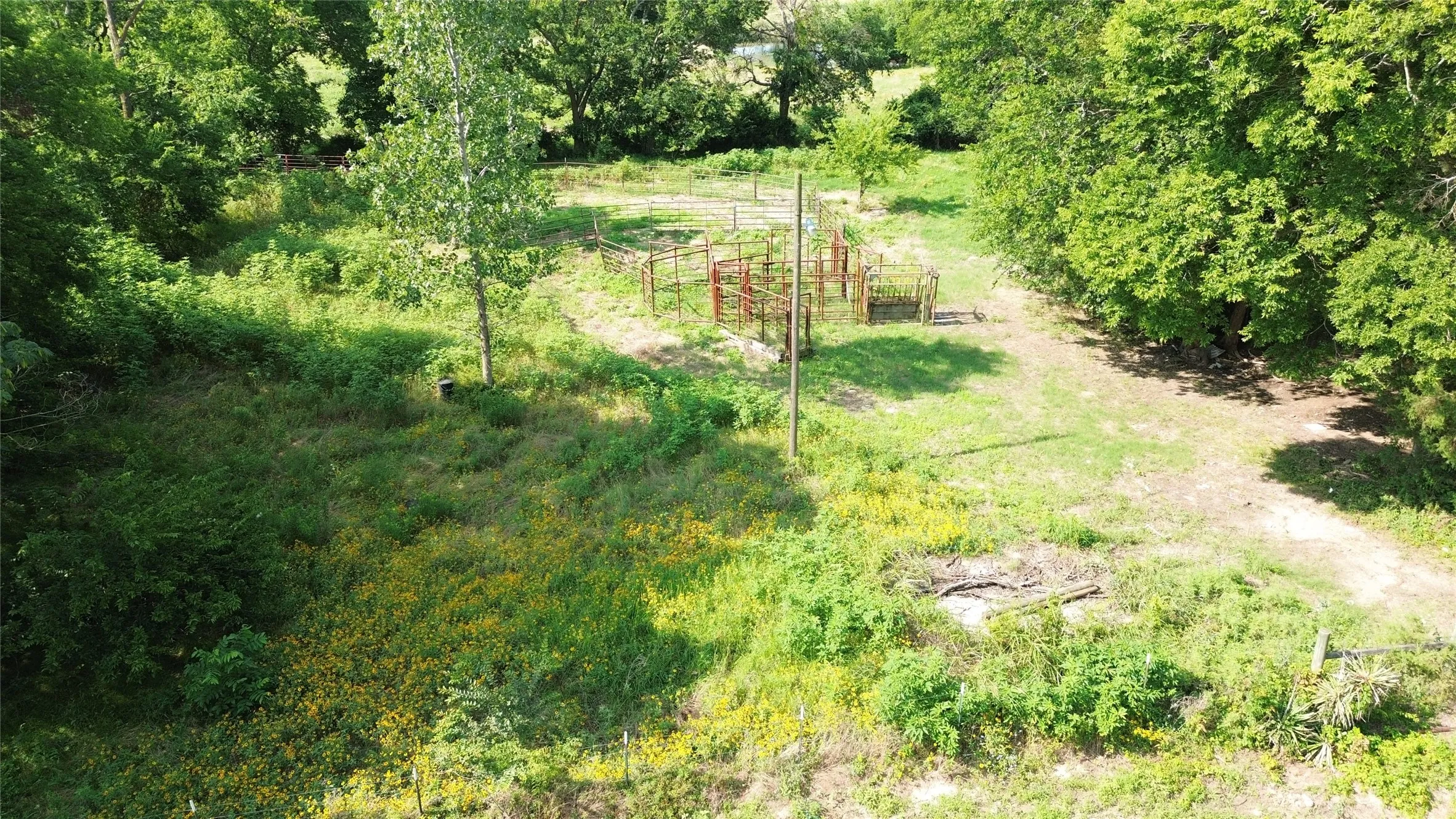 Unimproved Land For Sale in Delta County , 4757 FM 1528, Klondike, Texas 75448, 0, 0, Garage spaces, 0 Sqft, built in 0, mls#21409330, Real Estate Agent in Klondike, Homes For Sale in Delta county, Homes For Sale in Klondike, Realtor in Klondike Texas, Real Estate Brokerage Independent Realty Texas, Luminita Cordes Realtor