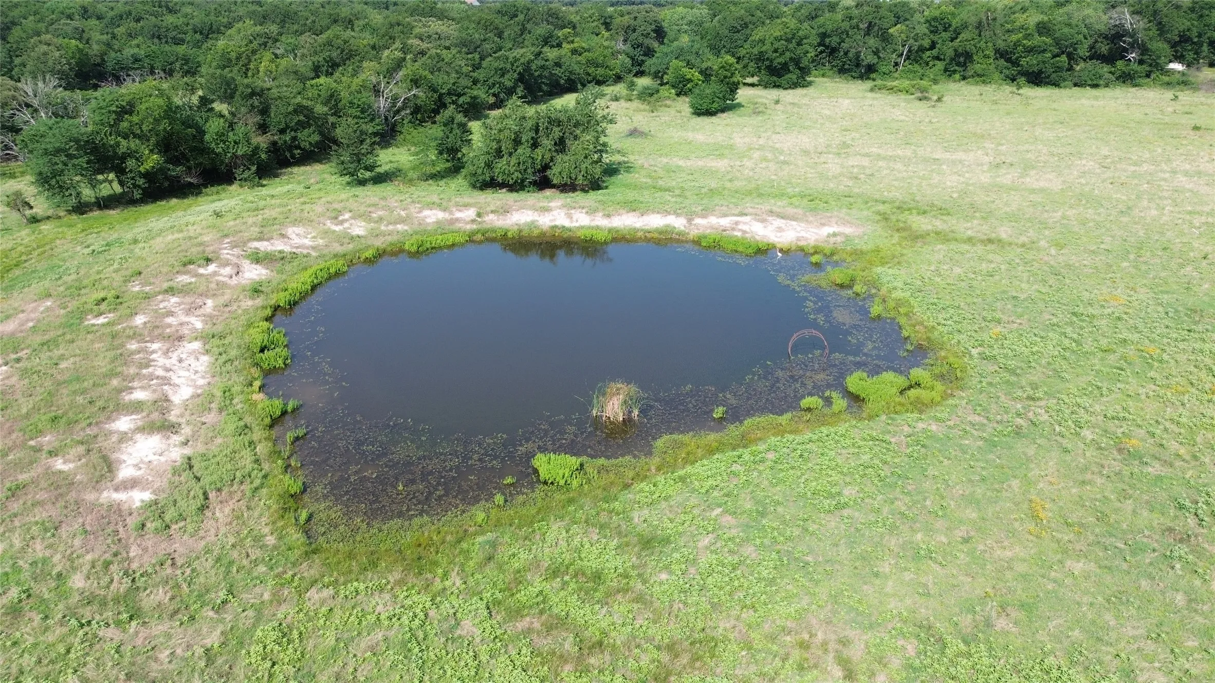 Unimproved Land For Sale in Delta County , 4757 FM 1528, Klondike, Texas 75448, 0, 0, Garage spaces, 0 Sqft, built in 0, mls#21409330, Real Estate Agent in Klondike, Homes For Sale in Delta county, Homes For Sale in Klondike, Realtor in Klondike Texas, Real Estate Brokerage Independent Realty Texas, Luminita Cordes Realtor