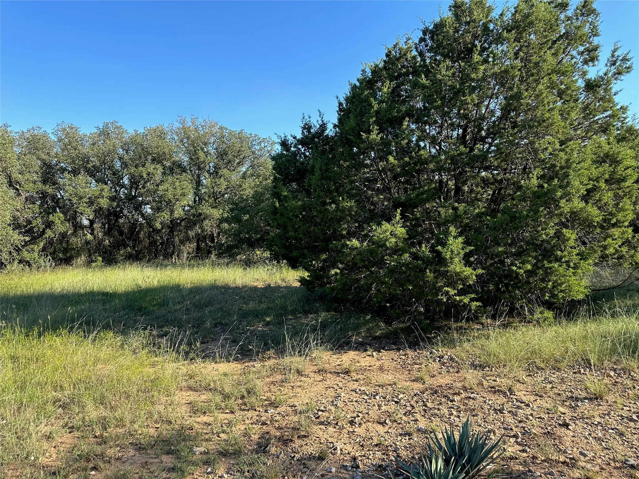 Expansive natural landscaping with varied terrain, featuring mature trees and established greenery