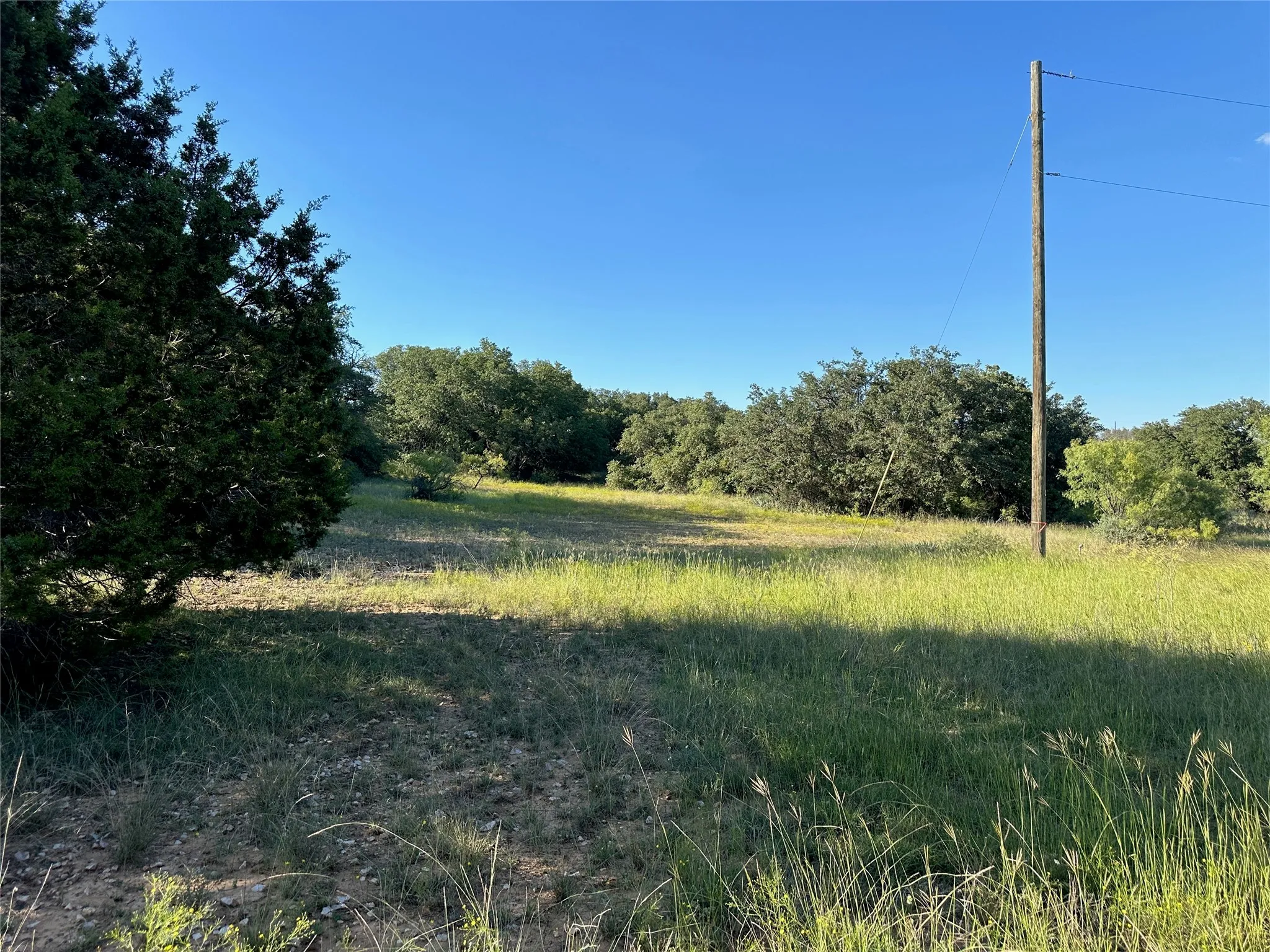 Expansive open land featuring diverse foliage and a clear sky
