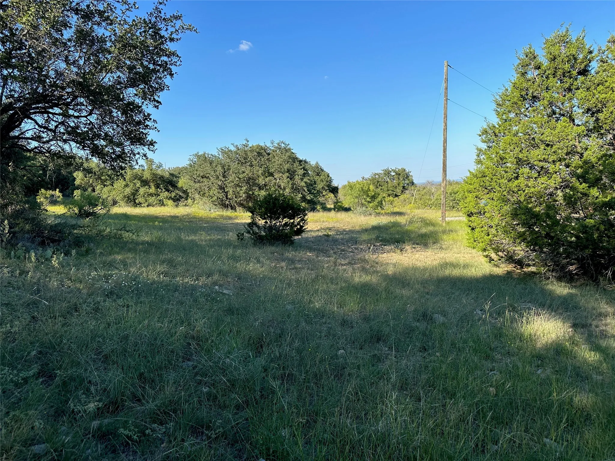 Expansive grassy area surrounded by various mature trees