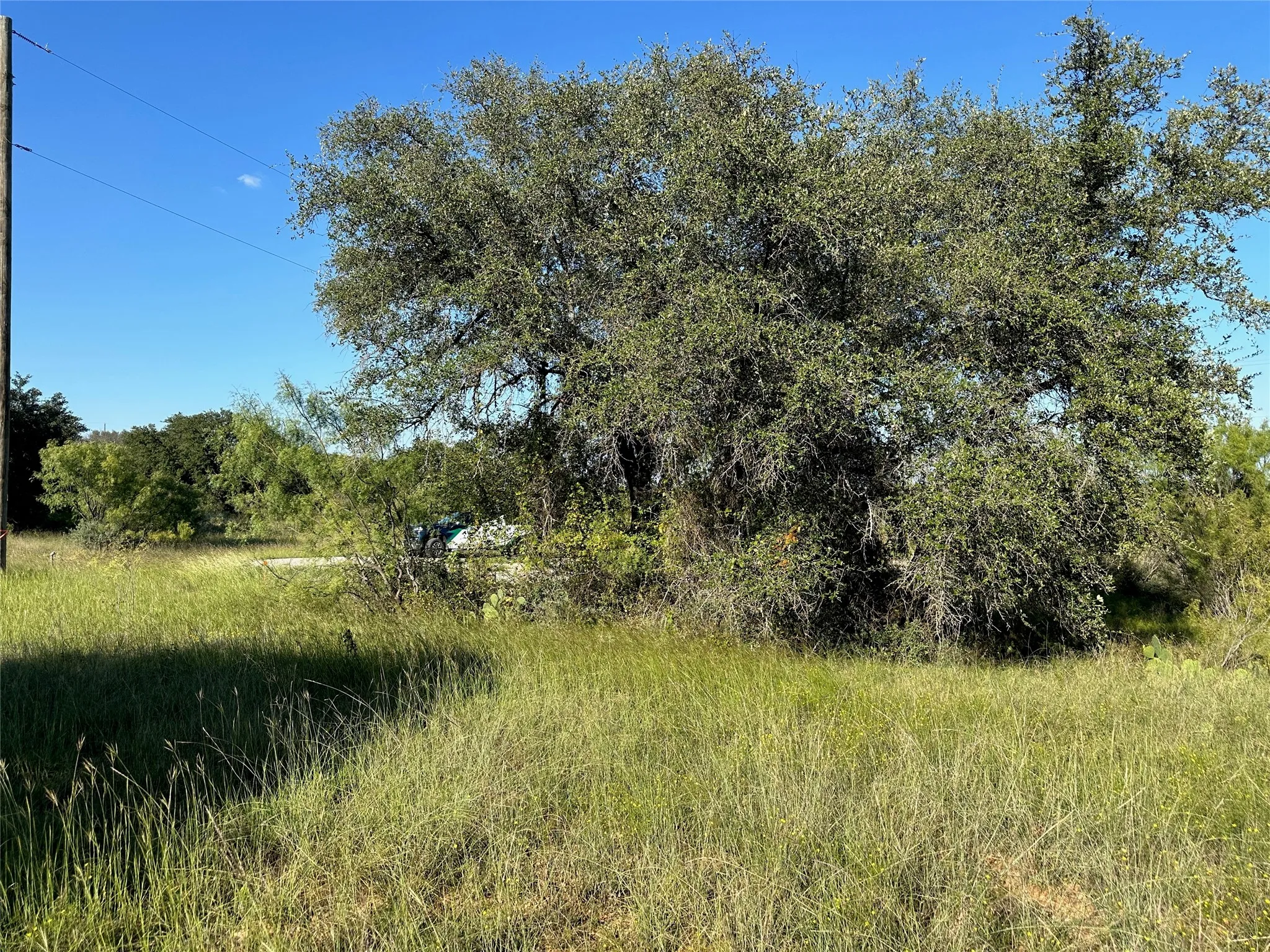 Expansive lot featuring mature trees and natural vegetation