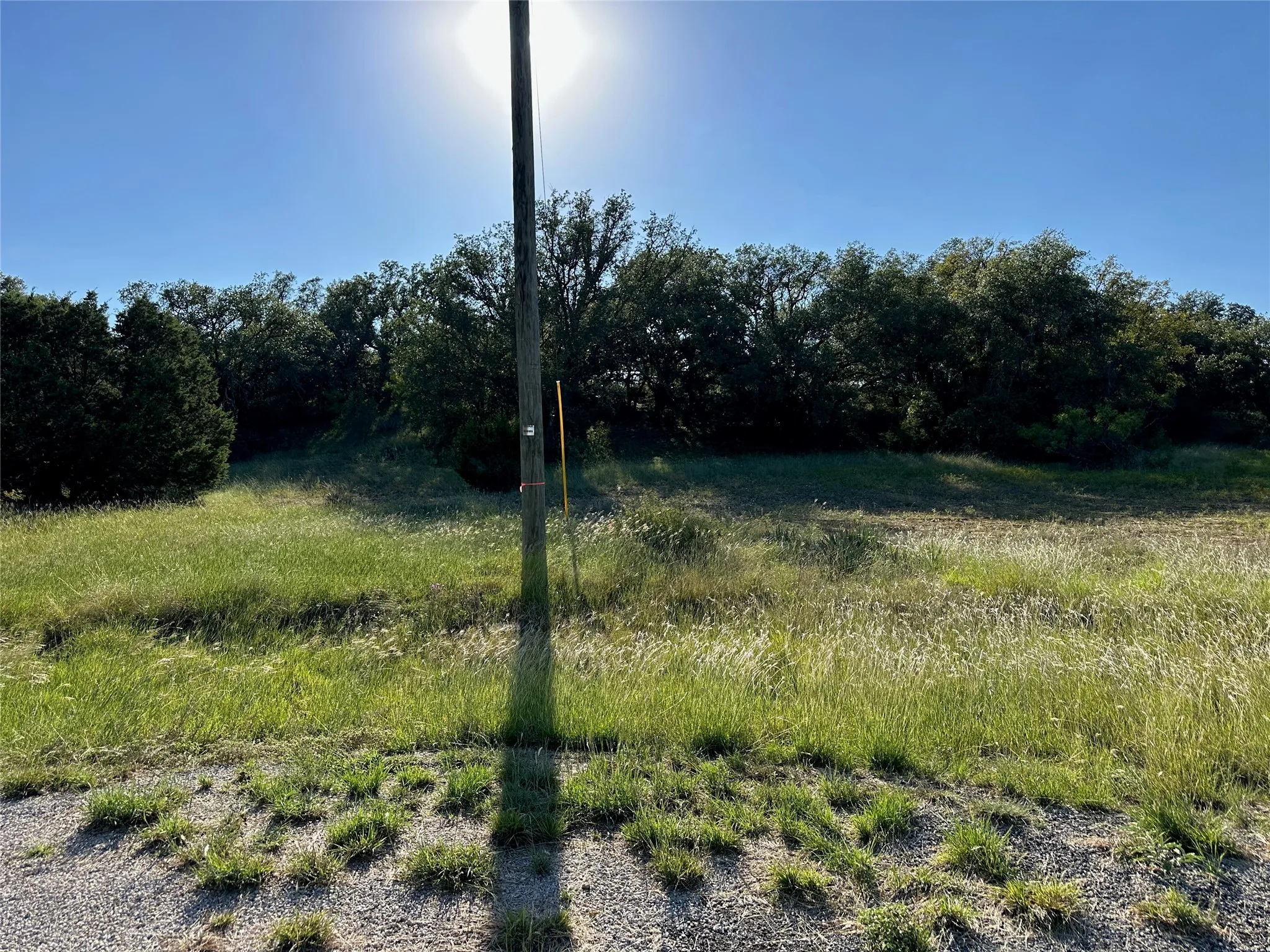 Expansive natural landscape featuring lush green grass and mature trees