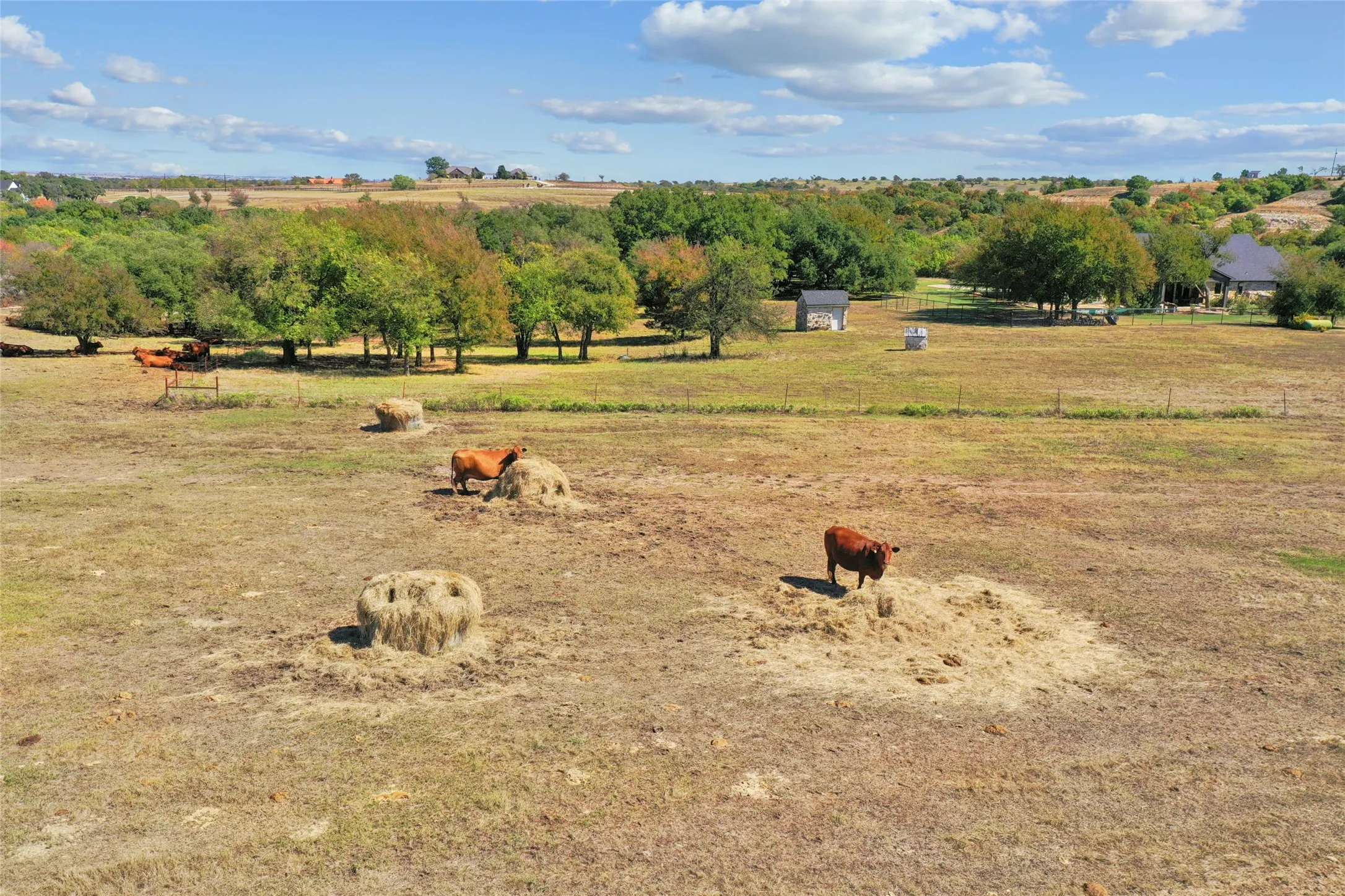 Farm For Sale in Wise County , 934 Private Road 4011, Decatur, Texas 76234, 4 Bedroom, 4 Bathroom, 2 Garage spaces, 3,715 Sqft, built in 2021, mls#21399837, Real Estate Agent in Decatur, Homes For Sale in Wise county, Homes For Sale in Decatur, Realtor in Decatur Texas, Real Estate Brokerage Independent Realty Texas, Luminita Cordes Realtor