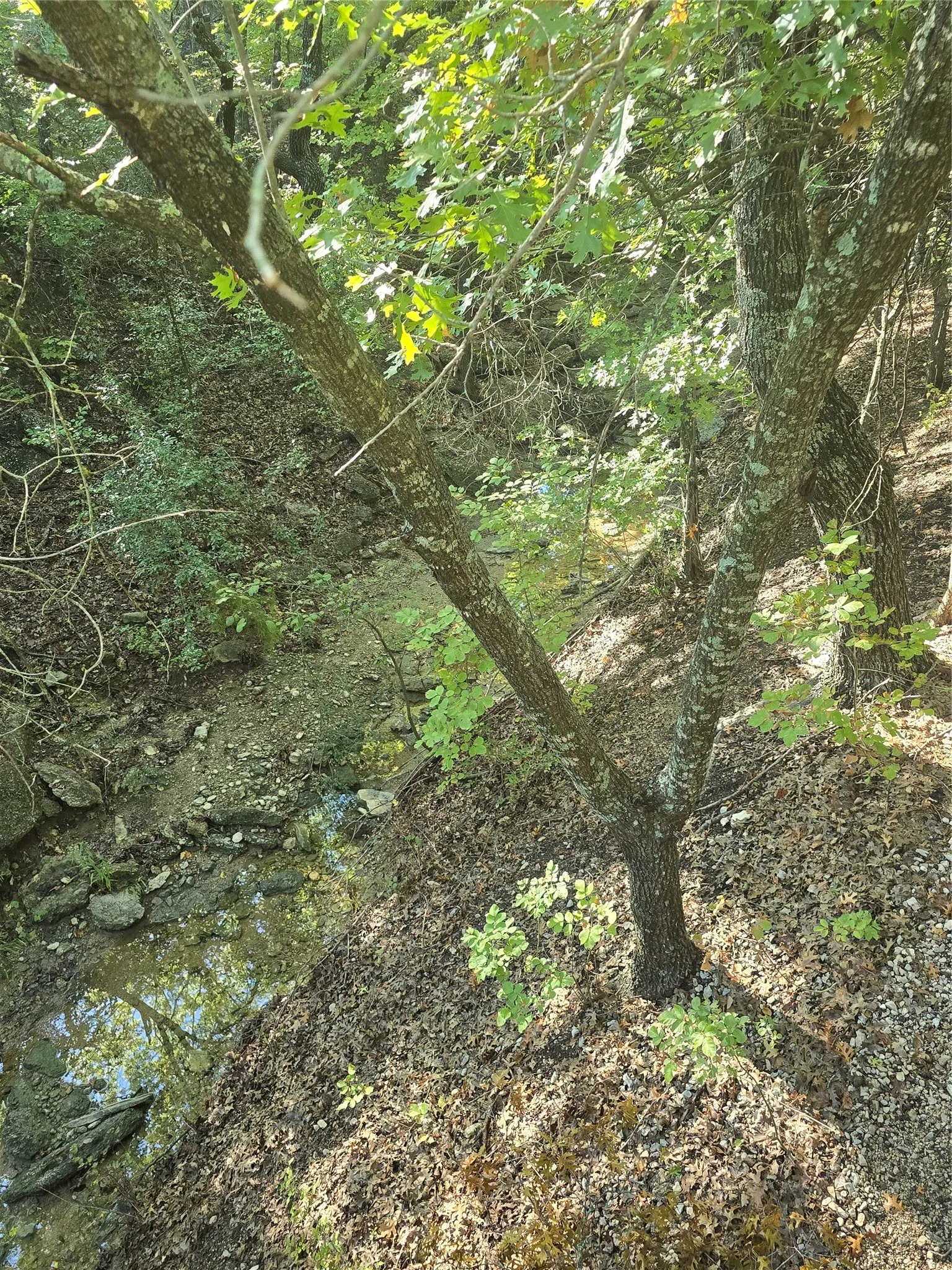 Creek that runs under bridge