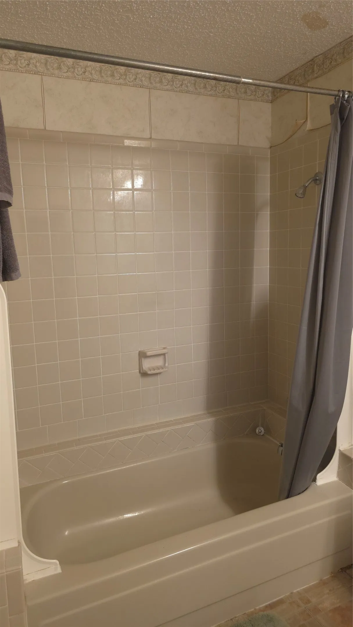 Primary tub-shower combo