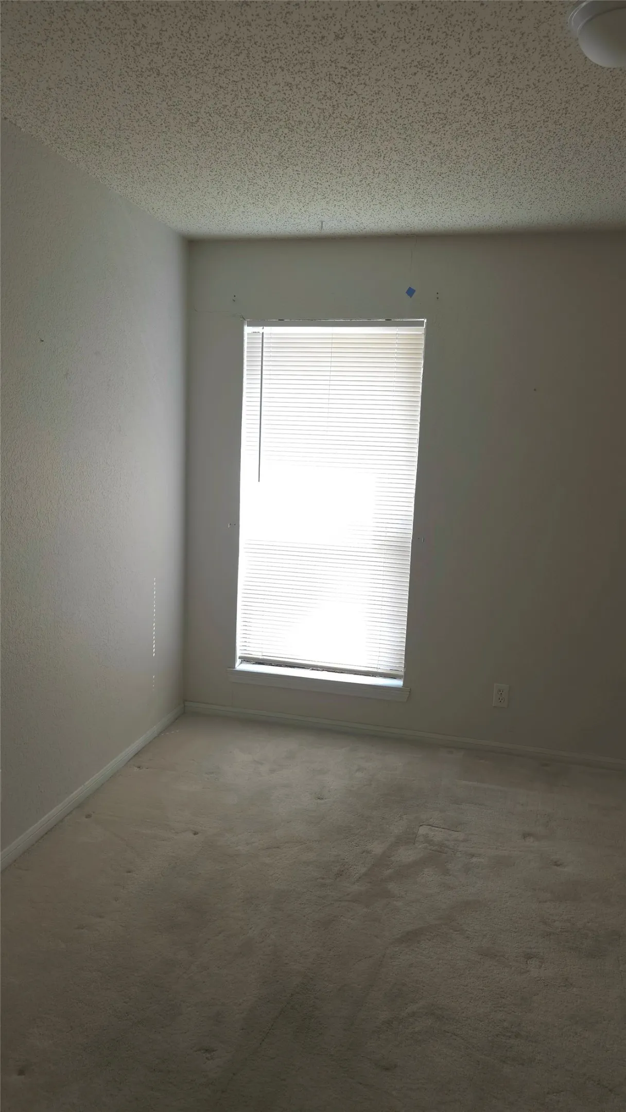 Primary Bedroom window
