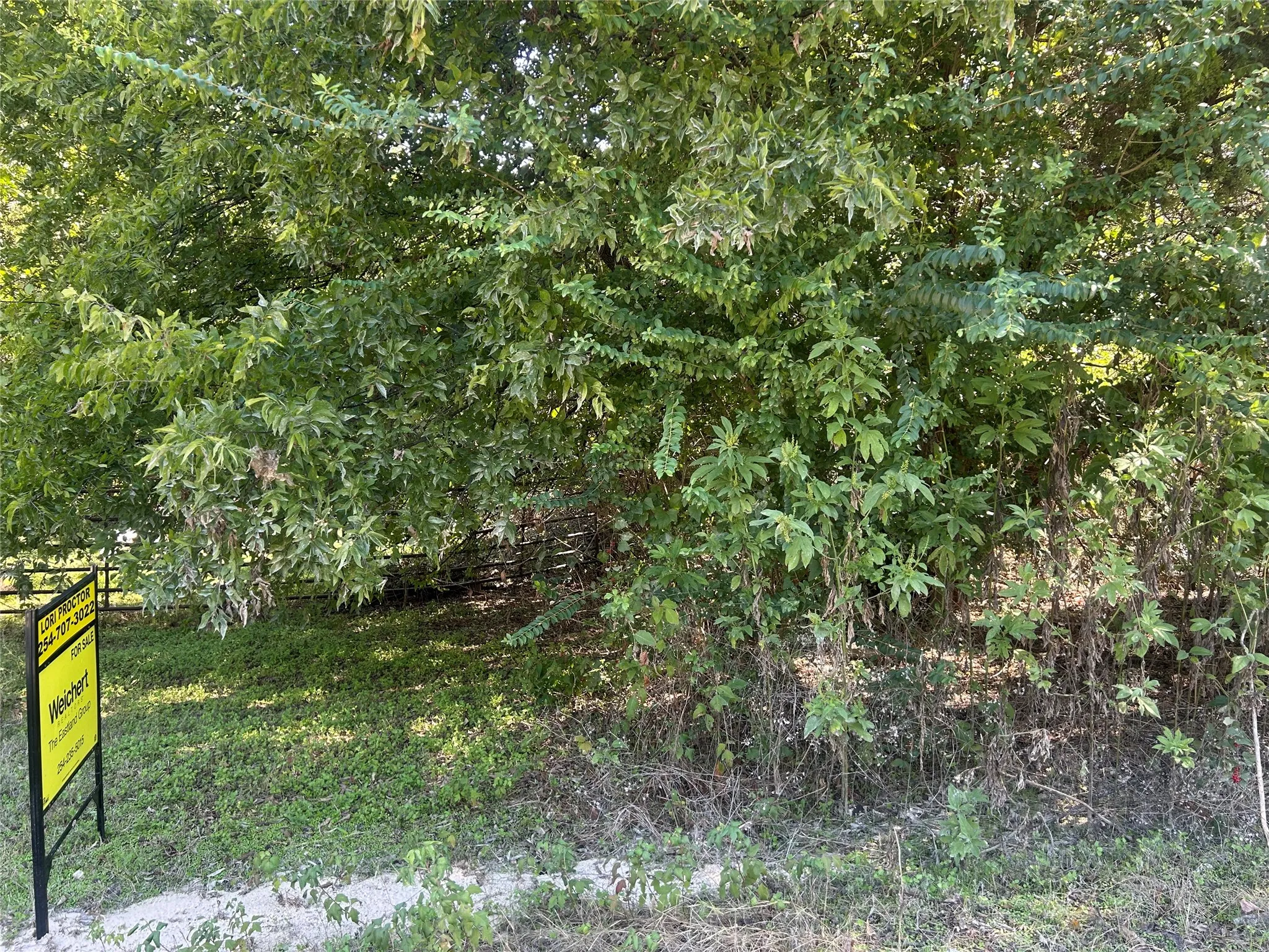 Unimproved Land For Sale