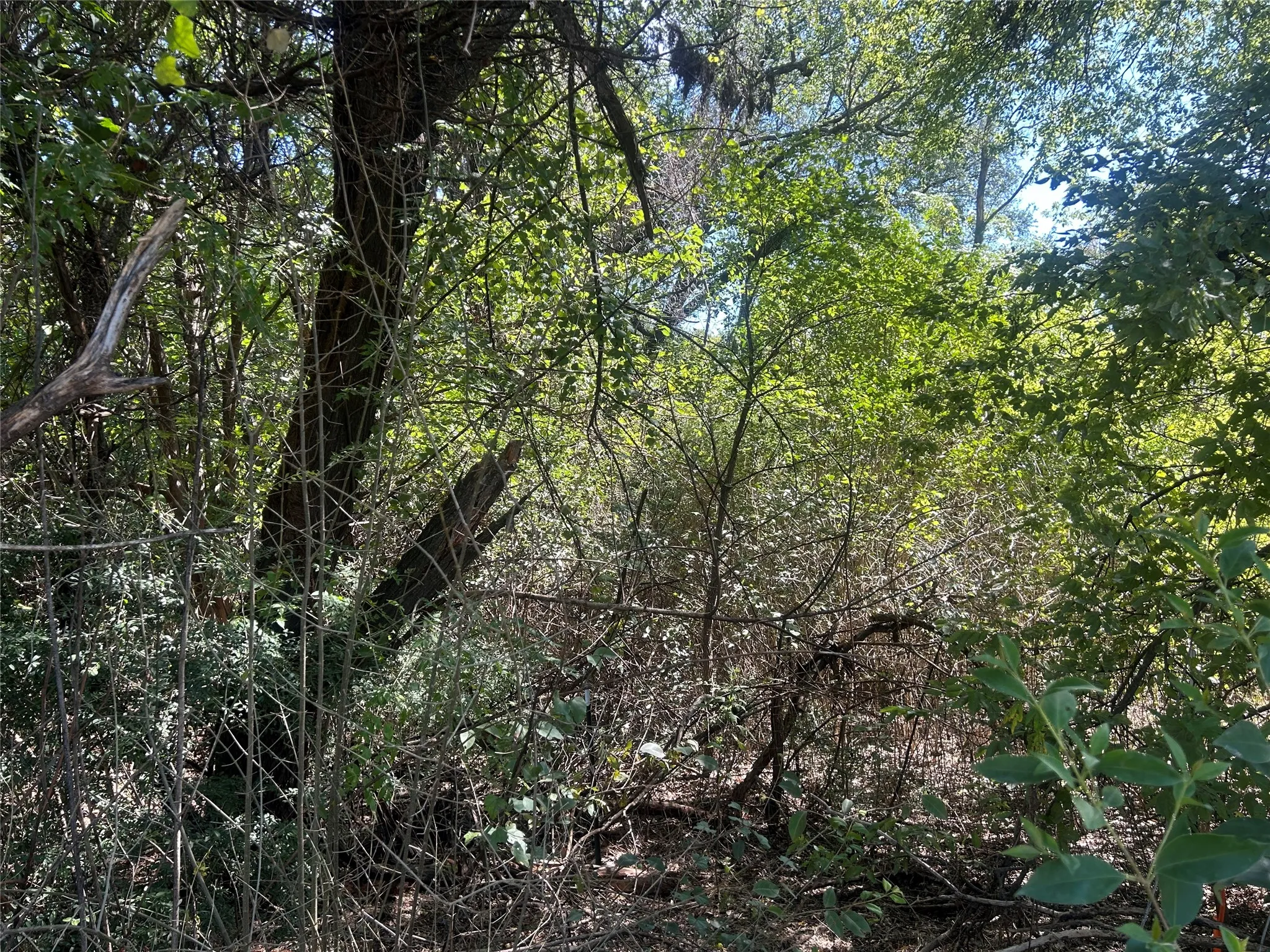 Unimproved Land For Sale in Hill County , LAKEVIEW ST Lakeview St, Whitney, Texas 76692, 0, 0, Garage spaces, 0 Sqft, built in 0, mls#21410392, Real Estate Agent in Whitney, Homes For Sale in Hill county, Homes For Sale in Whitney, Realtor in Whitney Texas, Real Estate Brokerage Independent Realty Texas, Luminita Cordes Realtor