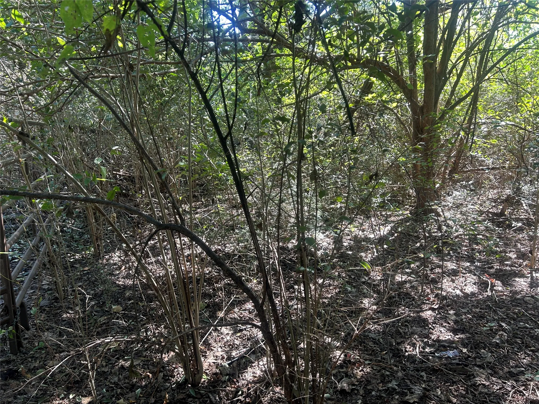 Unimproved Land For Sale in Hill County , LAKEVIEW ST Lakeview St, Whitney, Texas 76692, 0, 0, Garage spaces, 0 Sqft, built in 0, mls#21410392, Real Estate Agent in Whitney, Homes For Sale in Hill county, Homes For Sale in Whitney, Realtor in Whitney Texas, Real Estate Brokerage Independent Realty Texas, Luminita Cordes Realtor