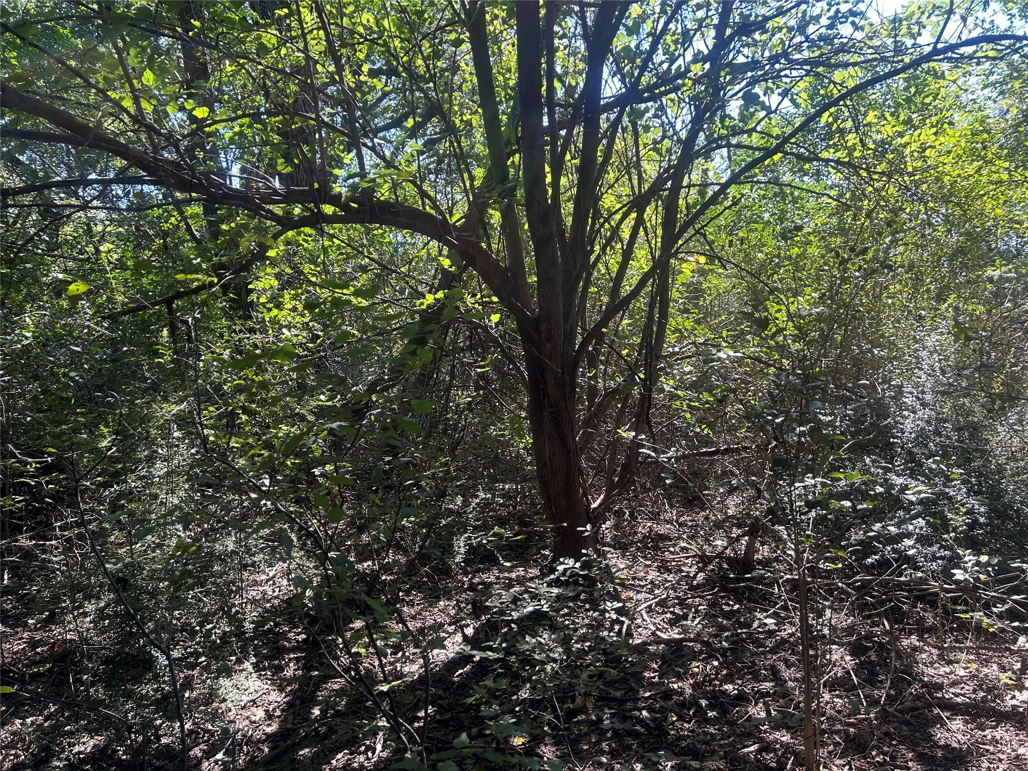 Unimproved Land For Sale in Hill County , LAKEVIEW ST Lakeview St, Whitney, Texas 76692, 0, 0, Garage spaces, 0 Sqft, built in 0, mls#21410392, Real Estate Agent in Whitney, Homes For Sale in Hill county, Homes For Sale in Whitney, Realtor in Whitney Texas, Real Estate Brokerage Independent Realty Texas, Luminita Cordes Realtor