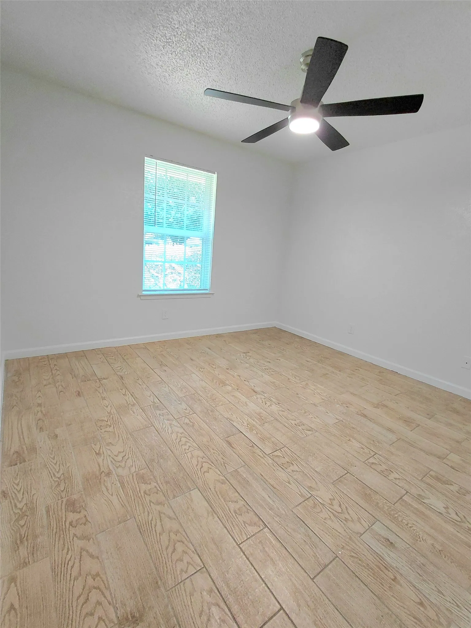 Wood-finish flooring, single window, and a ceiling fan with integrated lighting