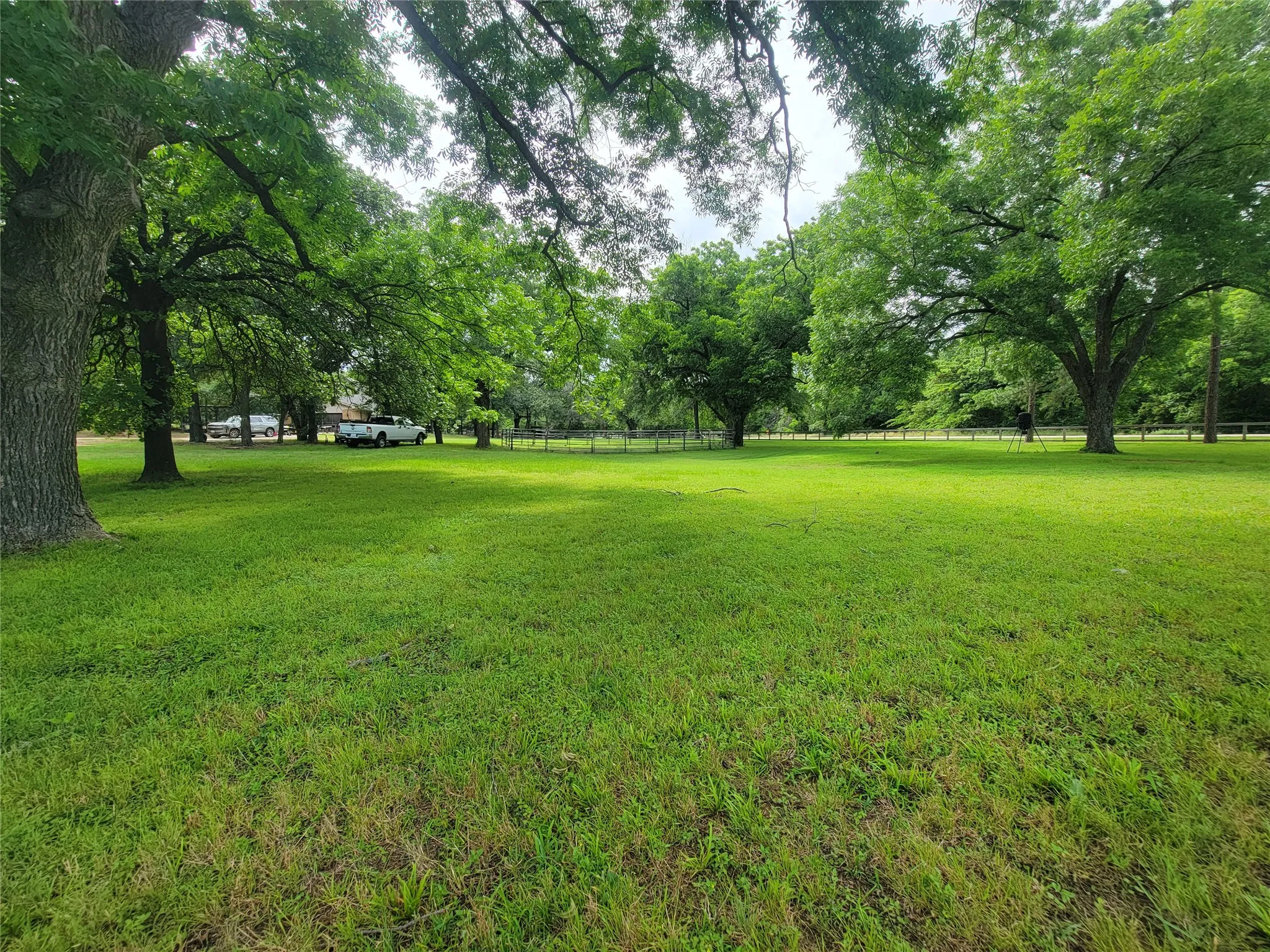 Expansive green lawn with mature trees providing extensive canopy coverage