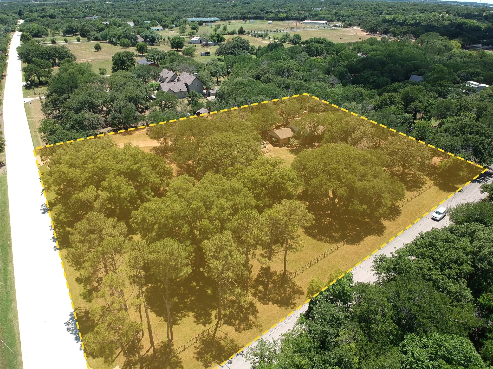 Expansive treed lot featuring mature trees, partial fencing, and direct road frontage