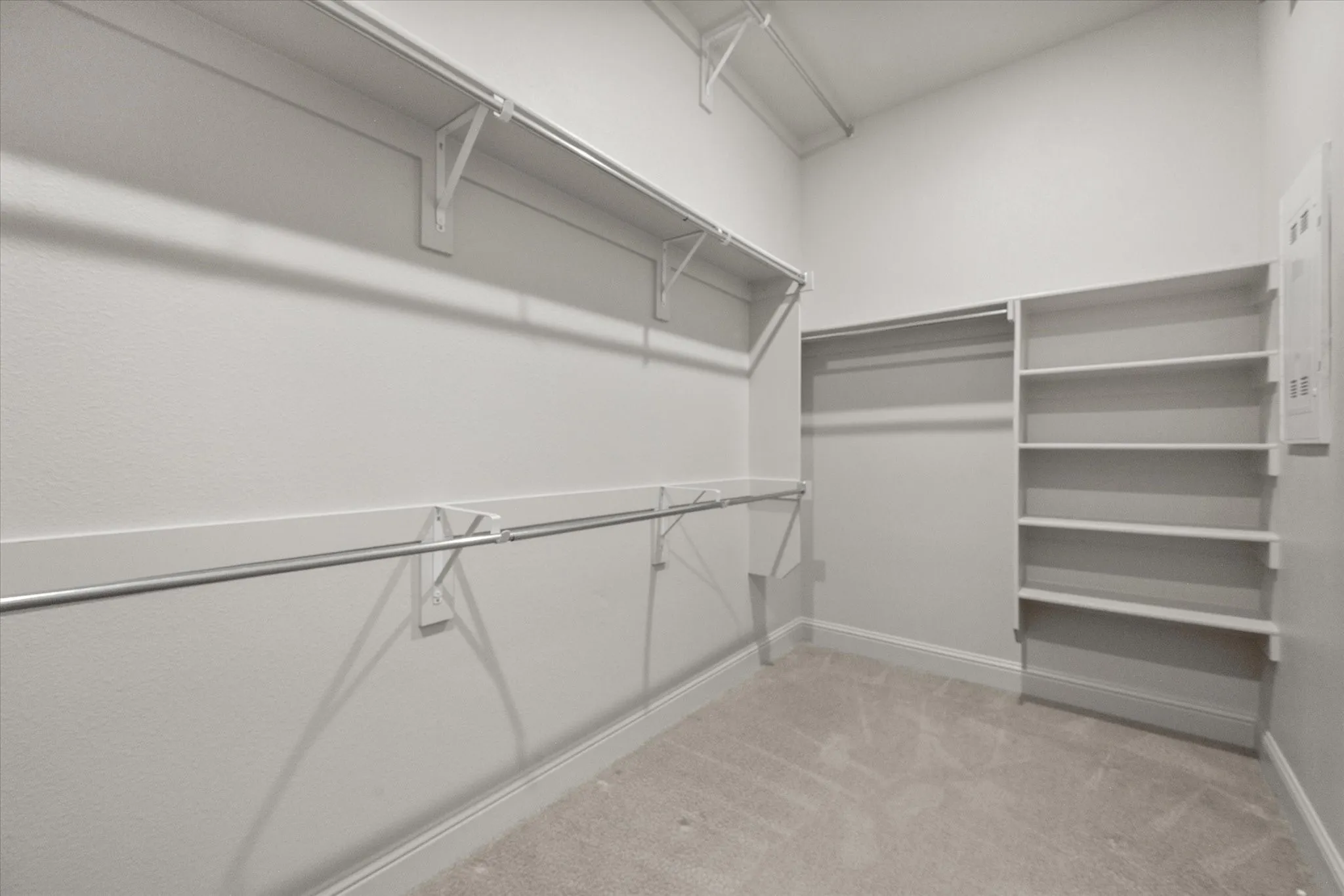 Carpeted walk-in closet featuring built-in shelving, multiple hanging rods, and high ceilings