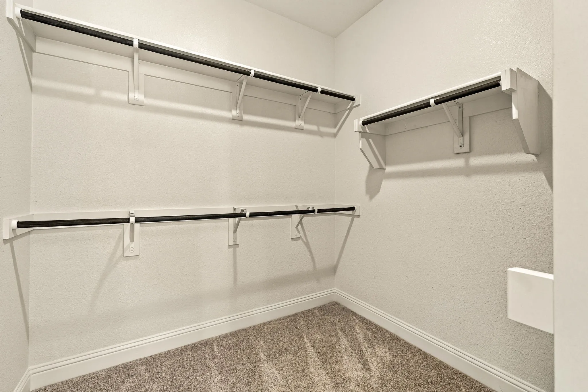 Storage area featuring neutral carpeting and tiered white shelving with black garment rods
