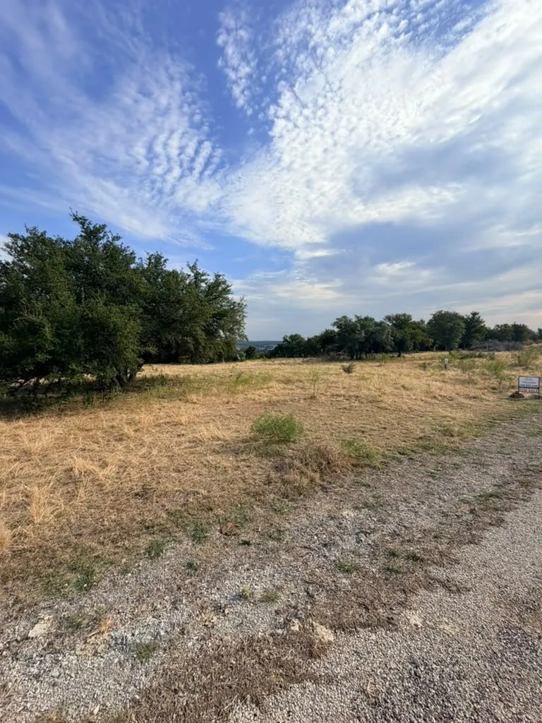 Expansive cleared lot featuring native grasses and mature trees with horizon-line scenery