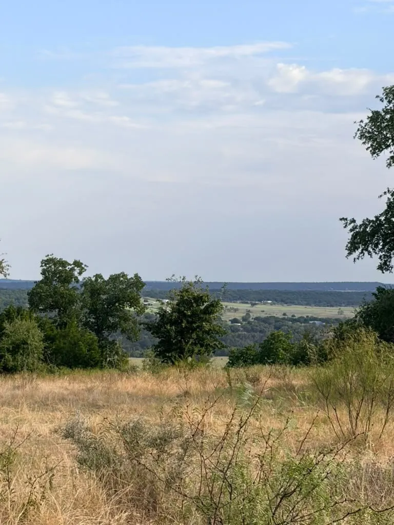 Expansive, elevated landscape featuring rolling terrain, mature trees, and horizon-spanning scenery